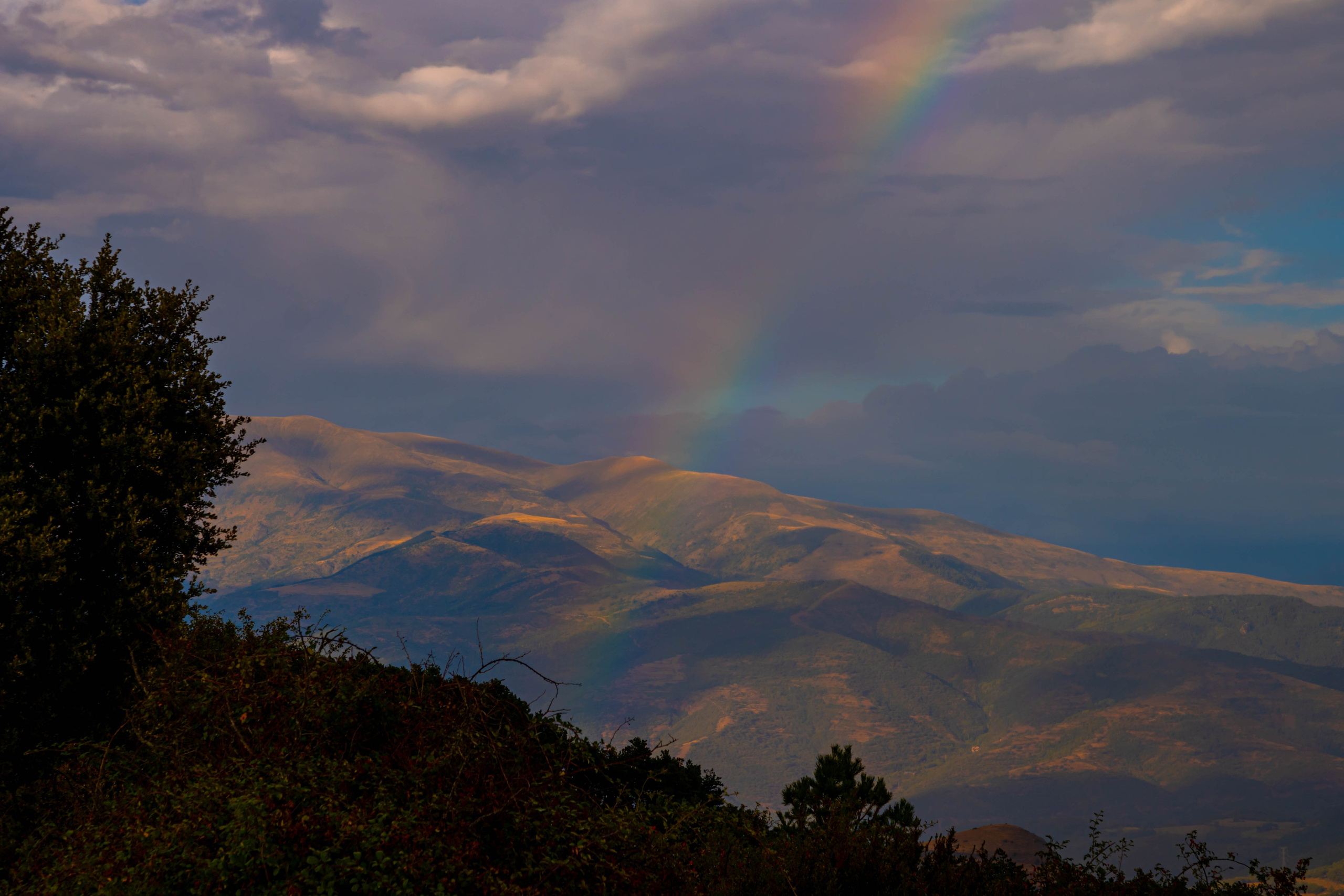 Lila. Alba del Norte Studio