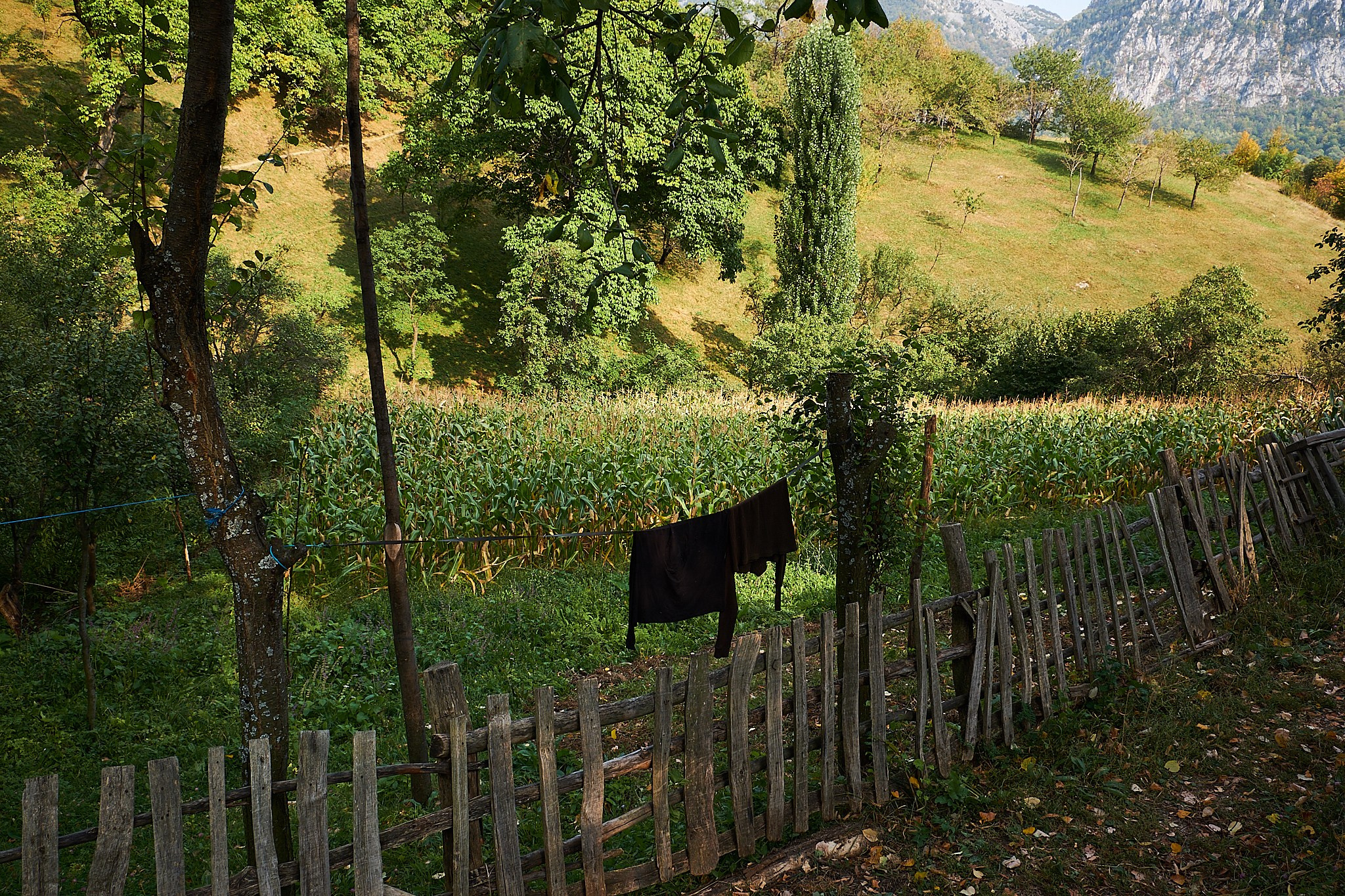 Ineleț, jud. Caraș-Severin. Pagina principală