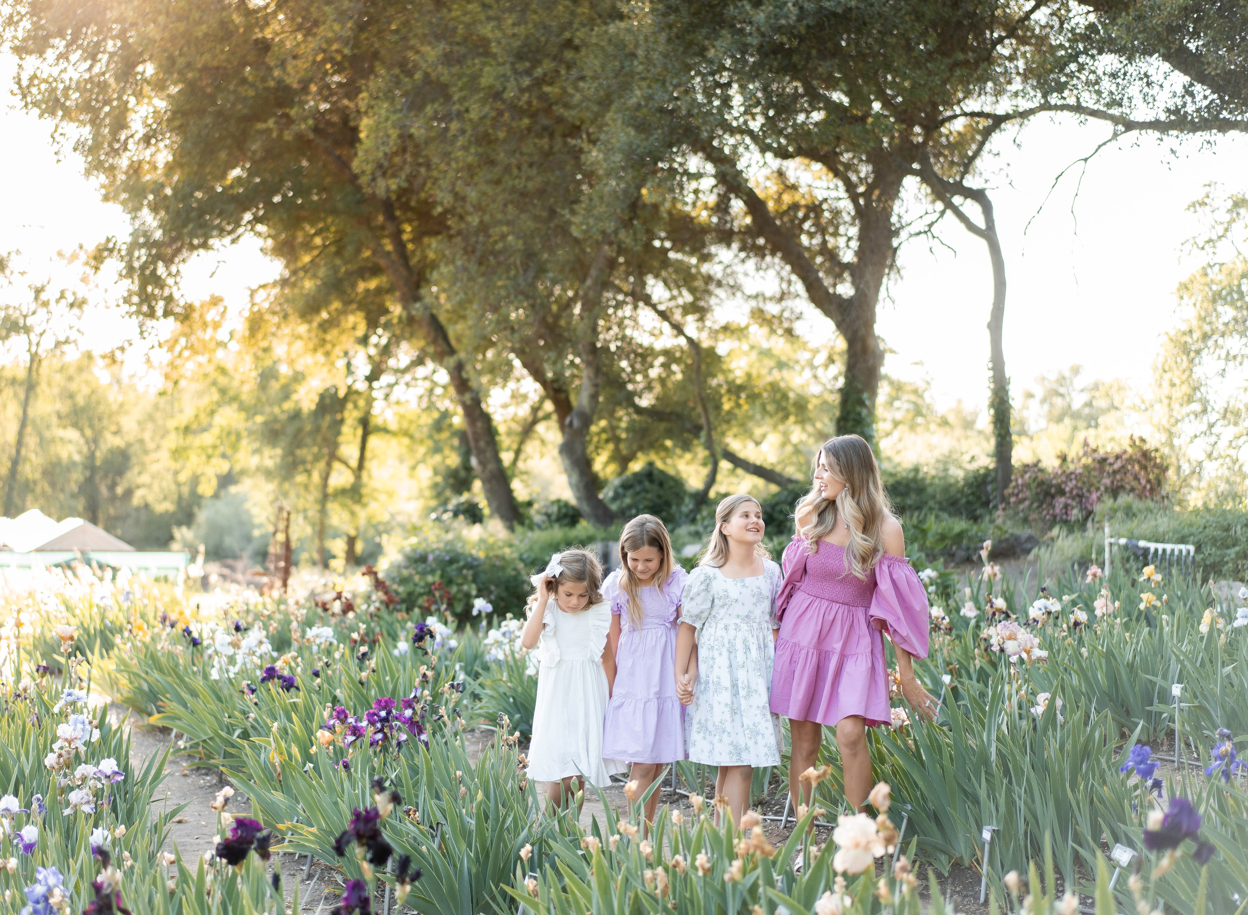 Beshta family. Family photographer in Sacramento | Sofia Pavenko