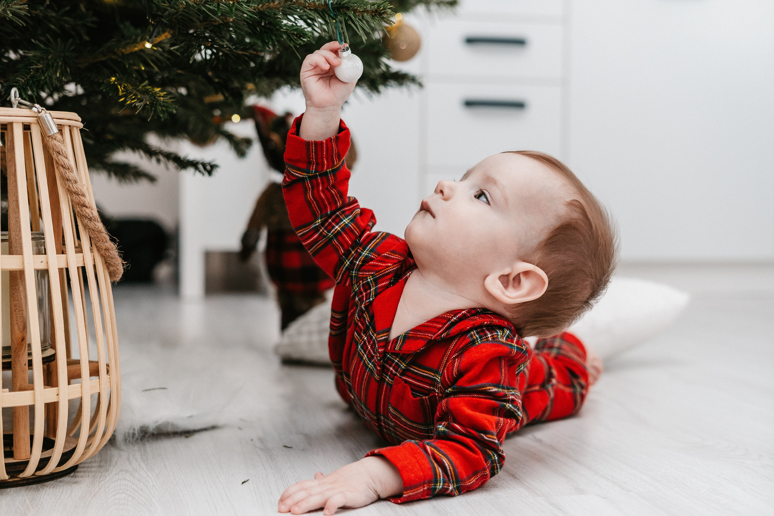 Ducuții — Crăciun. Dara Lens | The art of remembering