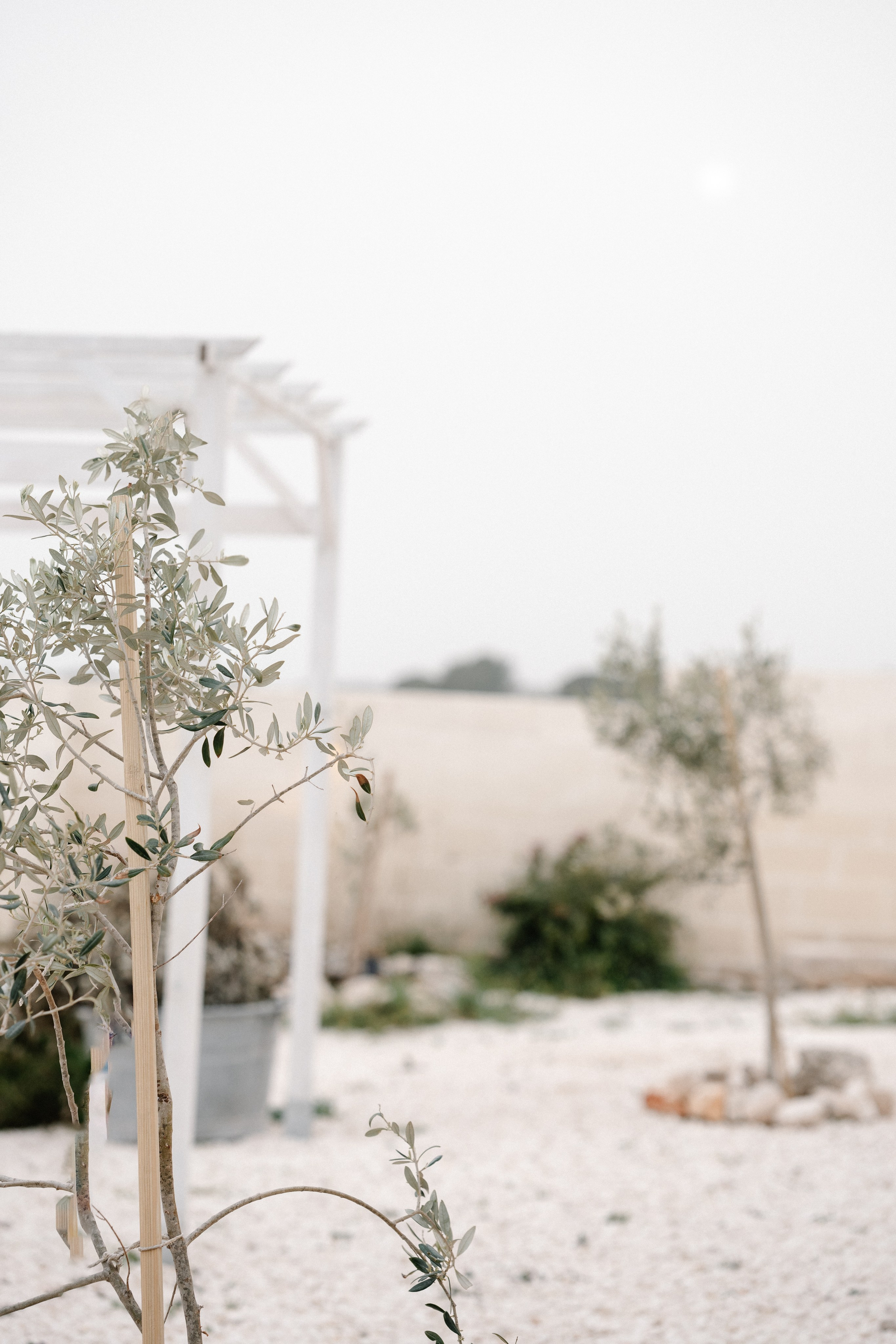 Alyssa&Sean. Wedding photographer Italy