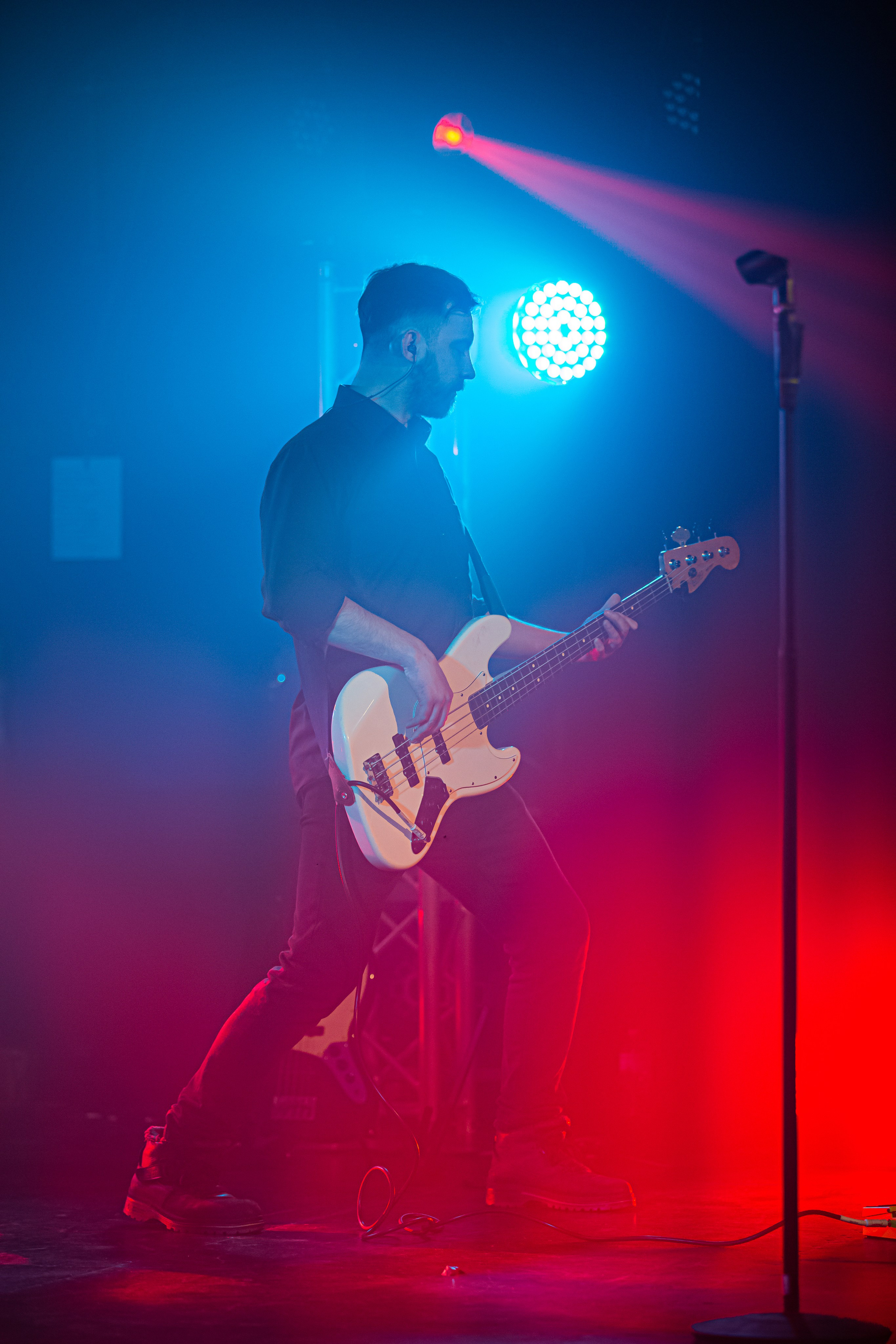 Ptashkin. Репортажний фотограф/анімаліст КИЇВ