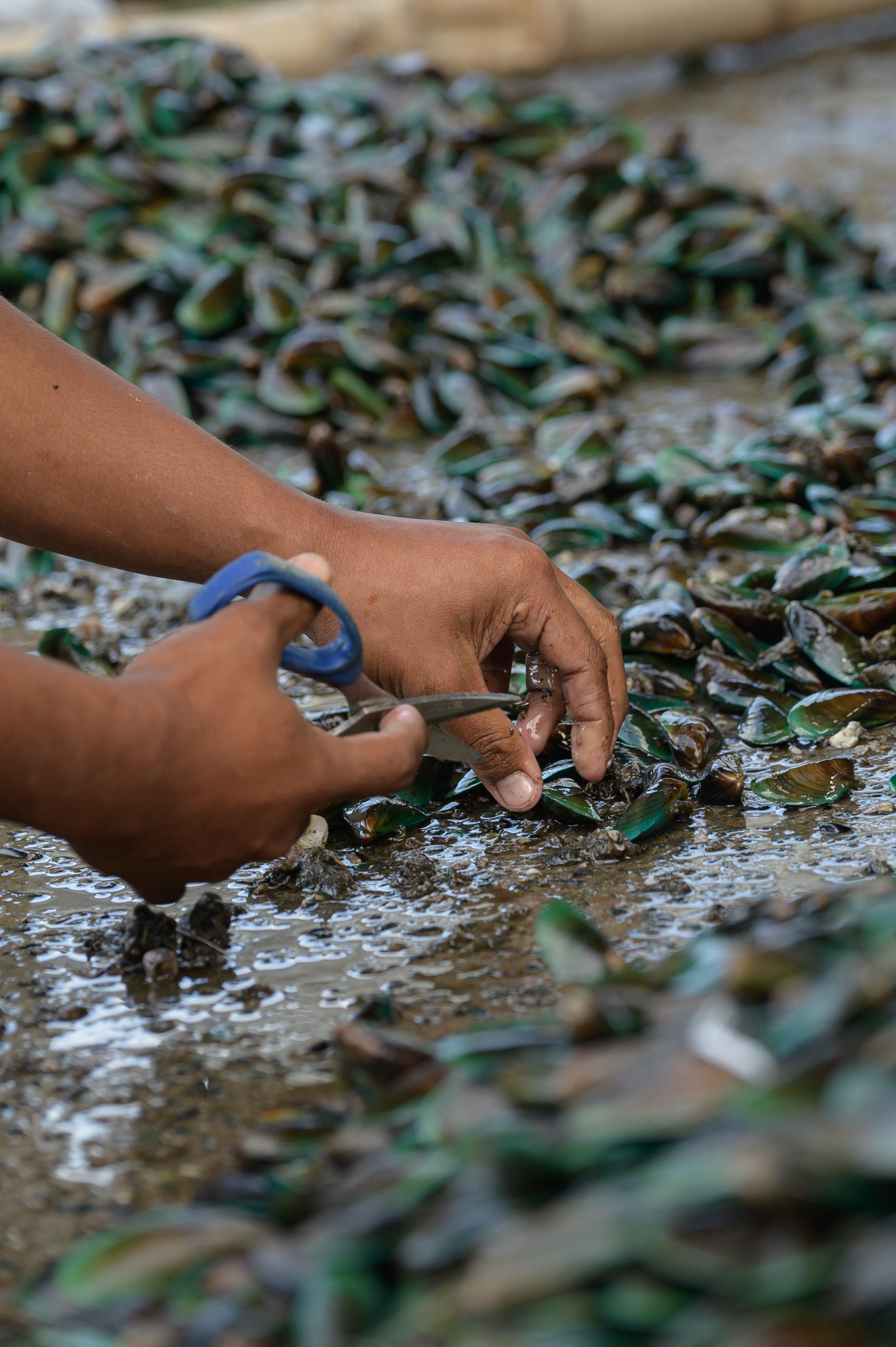 Manila visit. Alex Leonidov — Photographer