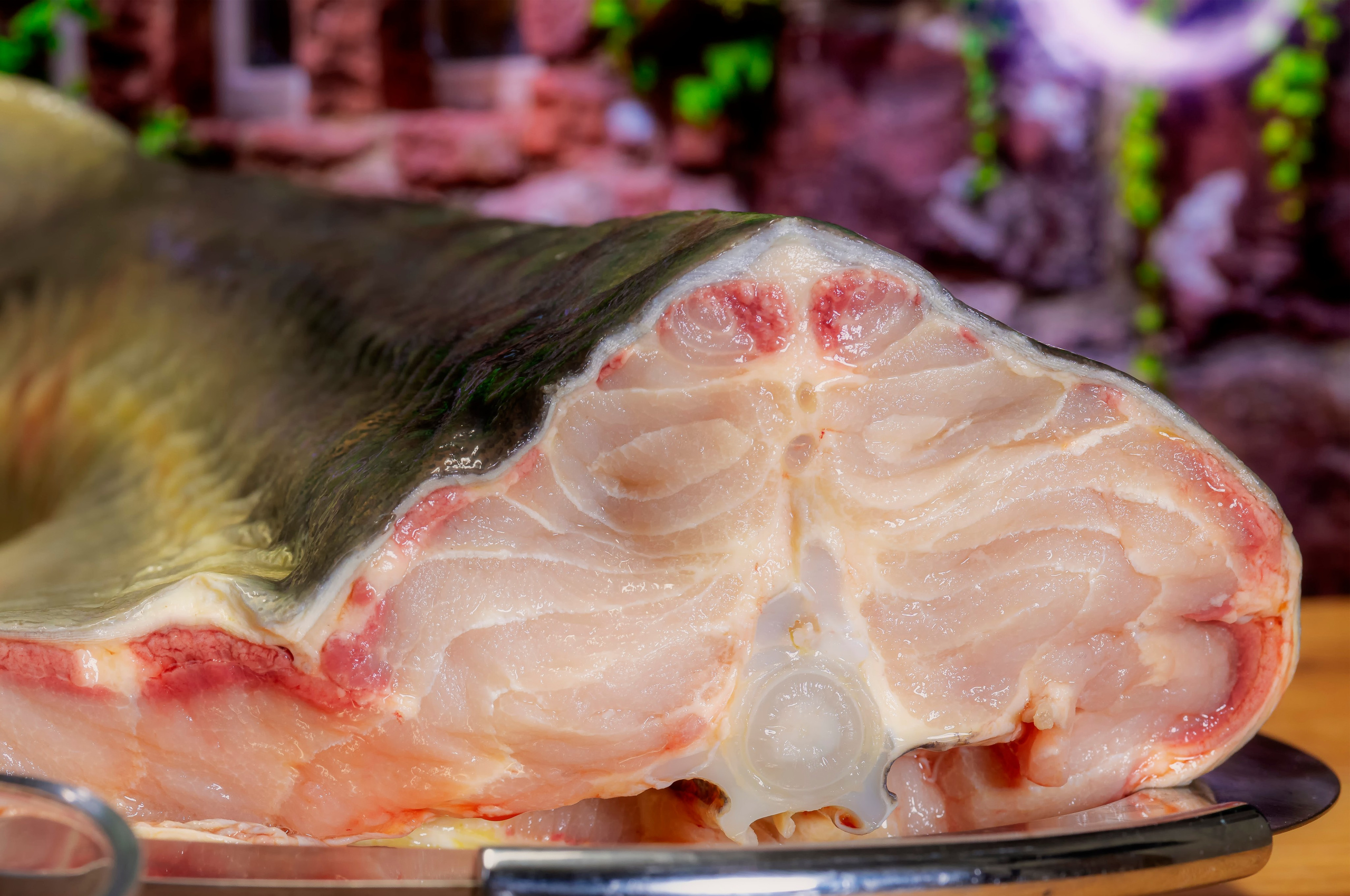 Food Fotografie. LUKIN IGOR Photography