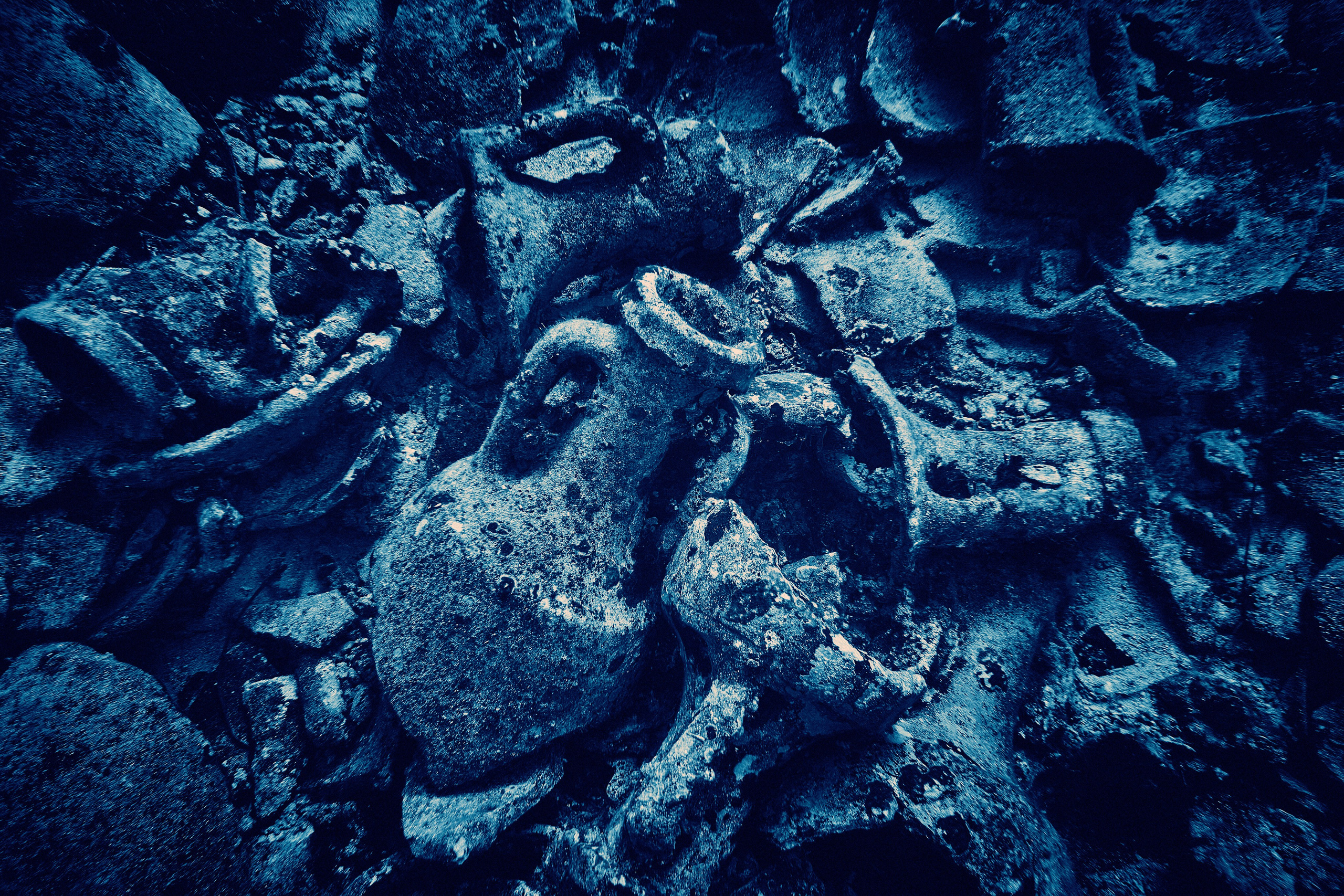 Fotograf podwodny Andriej Szypiłow. Андрей Шипилов — Фотография & Видеография