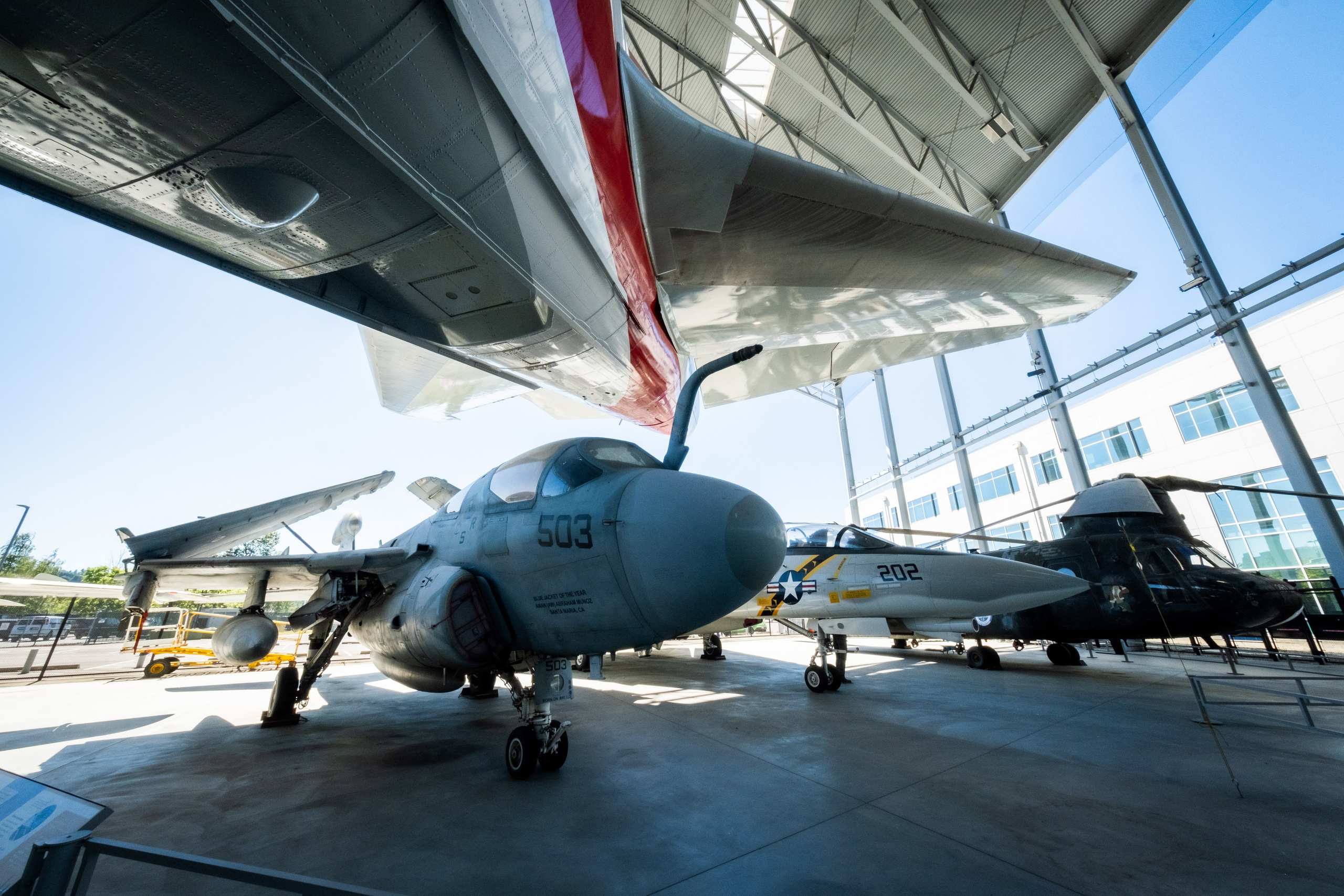 WASHINGTON / SEATTLE. Reportage concert portrait photography in the San Francisco Bay Area