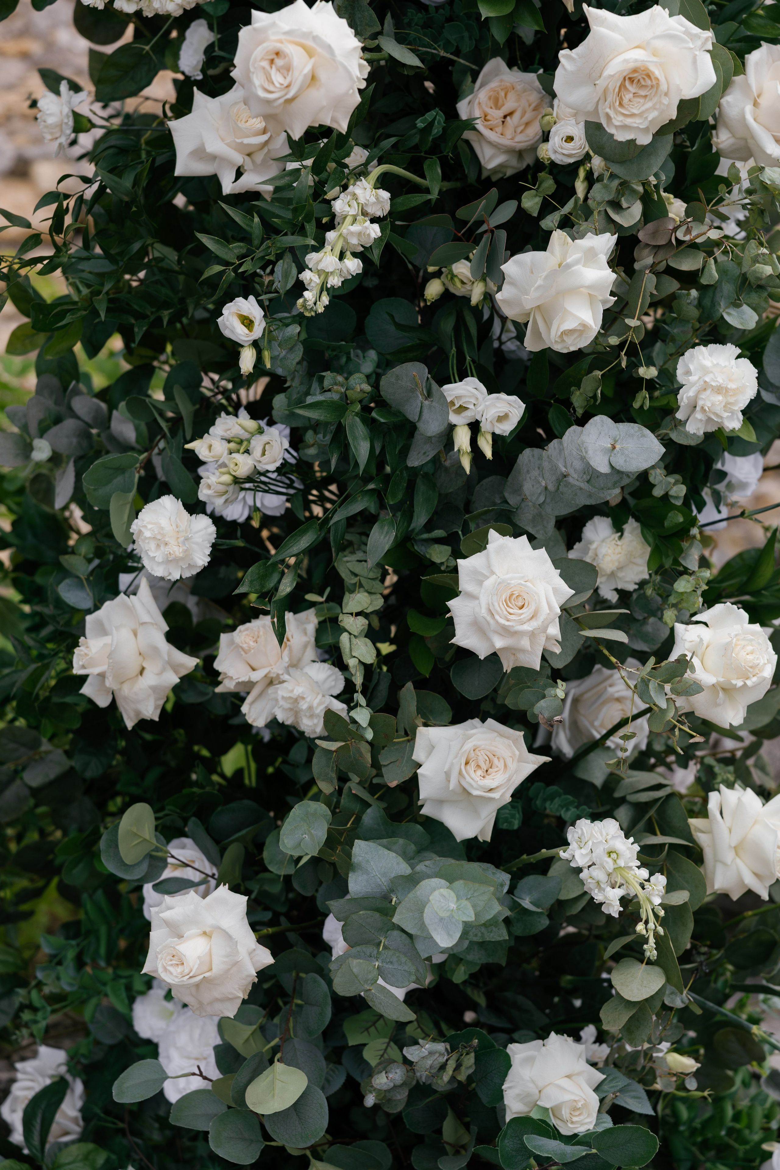 Анна & Володимир. Весільний та сімейний фотограф Одеса