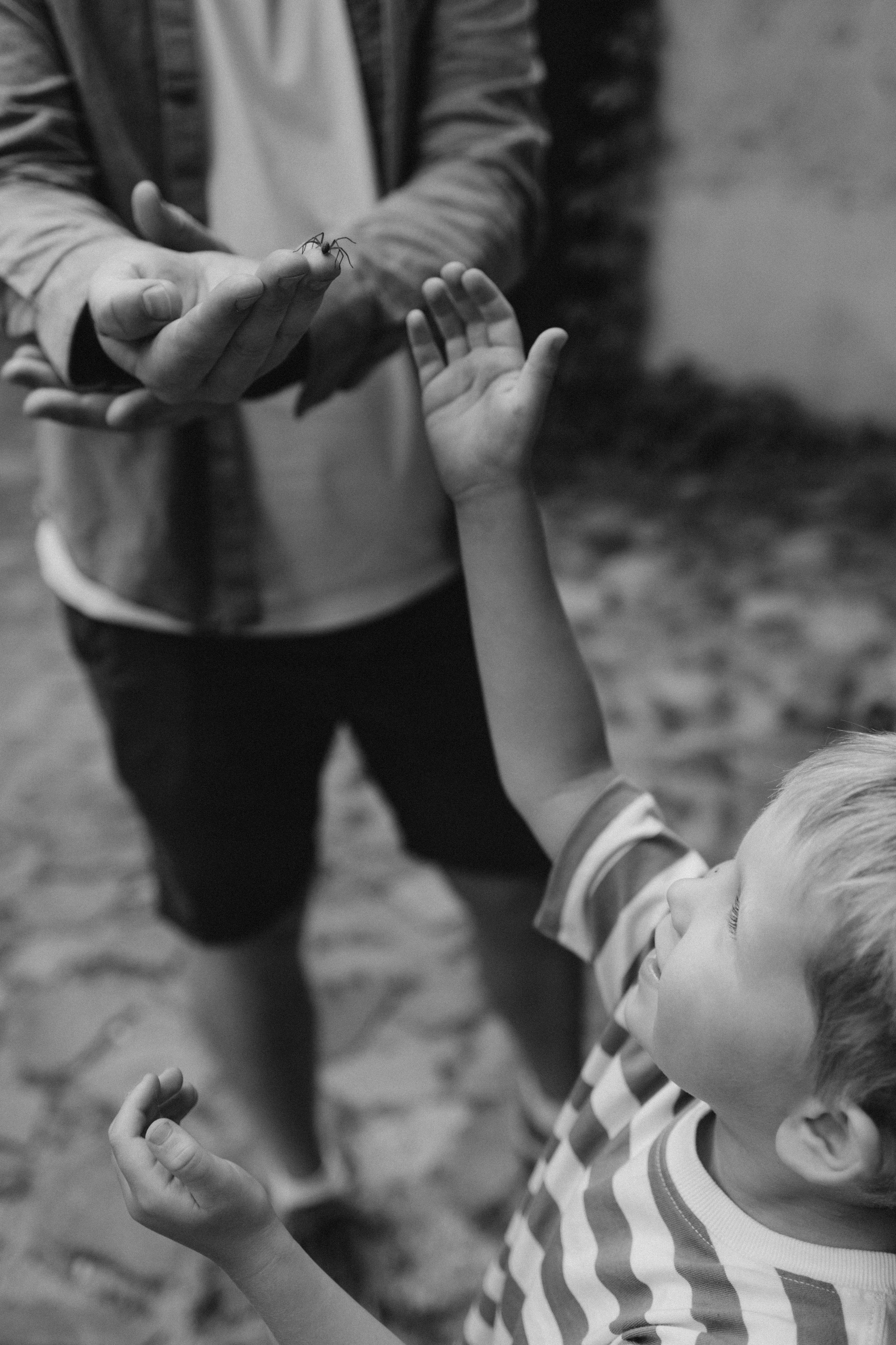 SINTIJAS ģimene. GALVENĀ