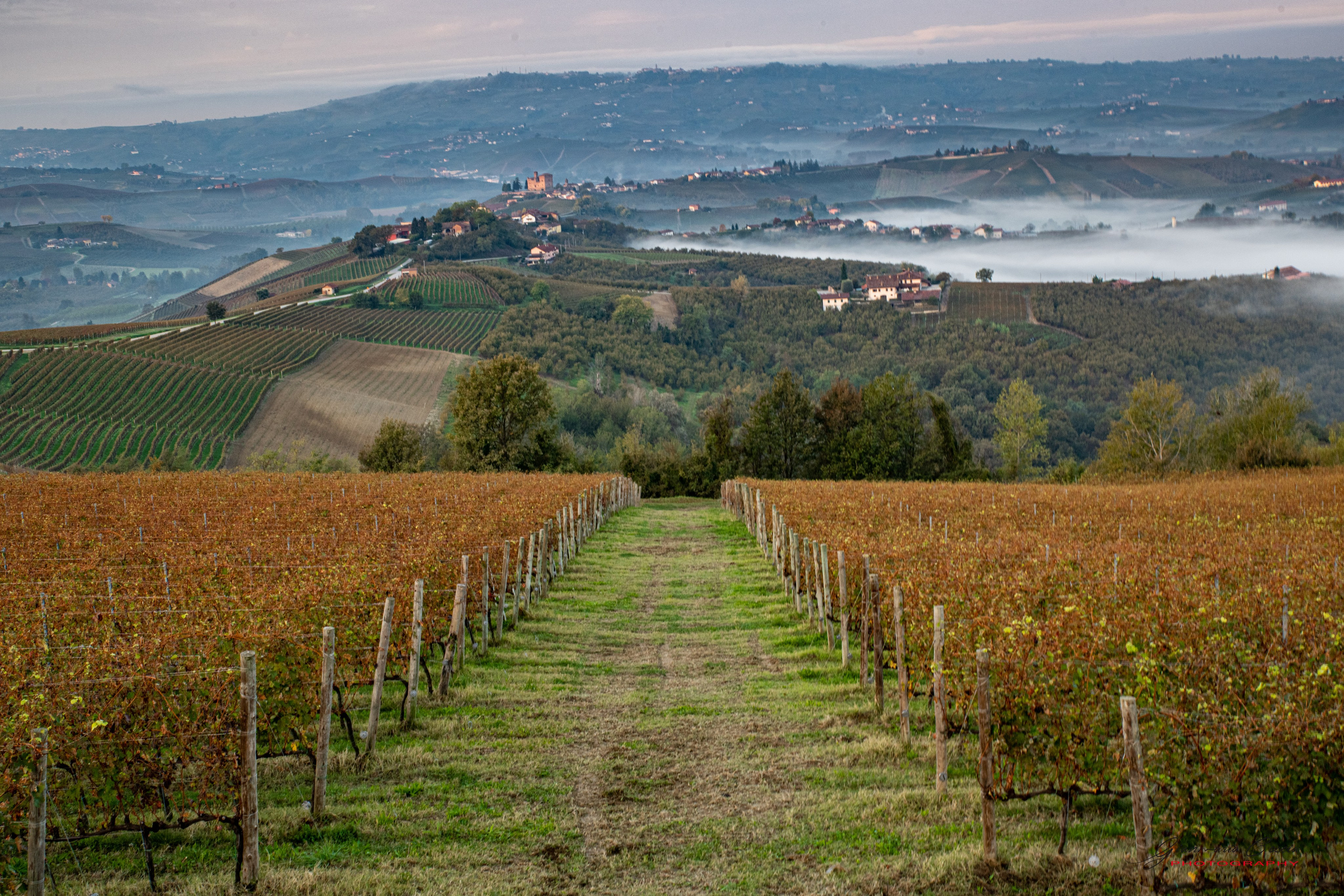 Langhe. “Gianmaria Coscia fotografo per passione”