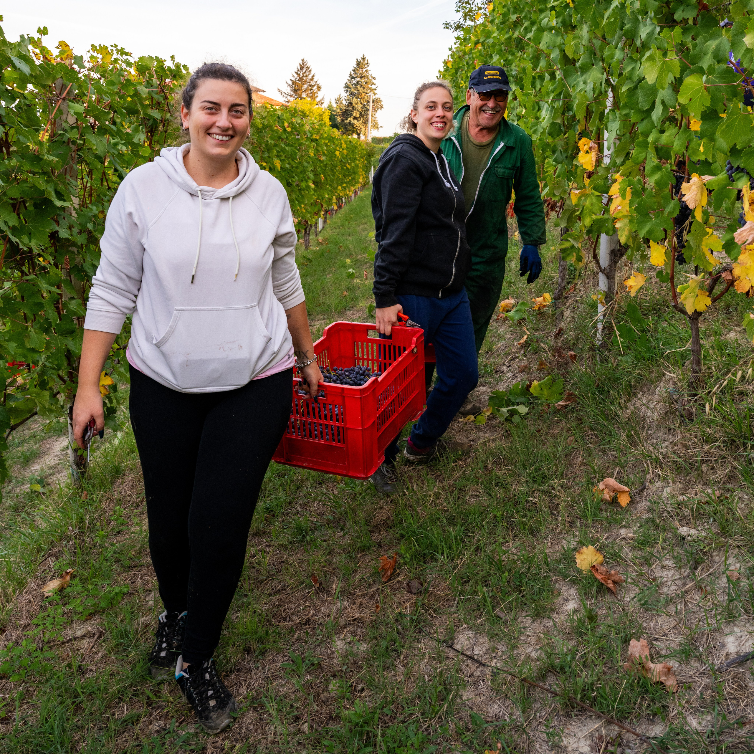 Cantine Boasso Serralunga. “Gianmaria Coscia fotografo per passione”