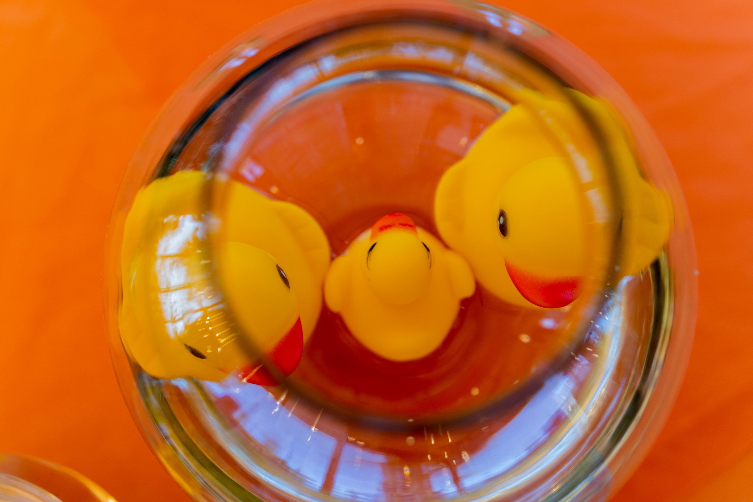 משפחת ברנד. יוסף מזרחי צילום חתונה, ברית וזוגיות. צלם מקצועי שאוהב להוציא אתכם הכי יפים ברגעים הכי מרגשים