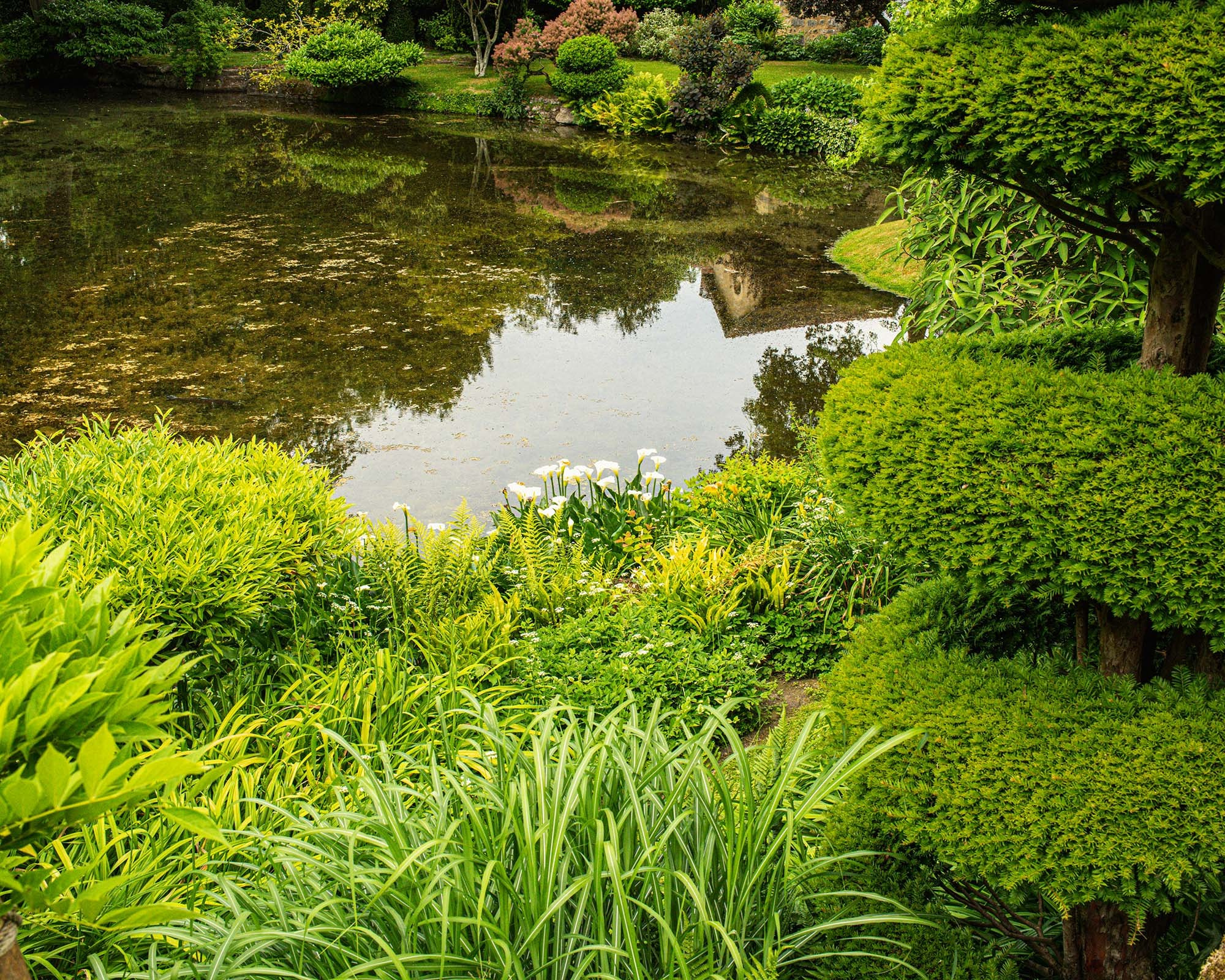 Ornamental pond surrounded by lush greenery and sculpted plants in the gardens of Château de Courances, reflecting the tranquil landscape