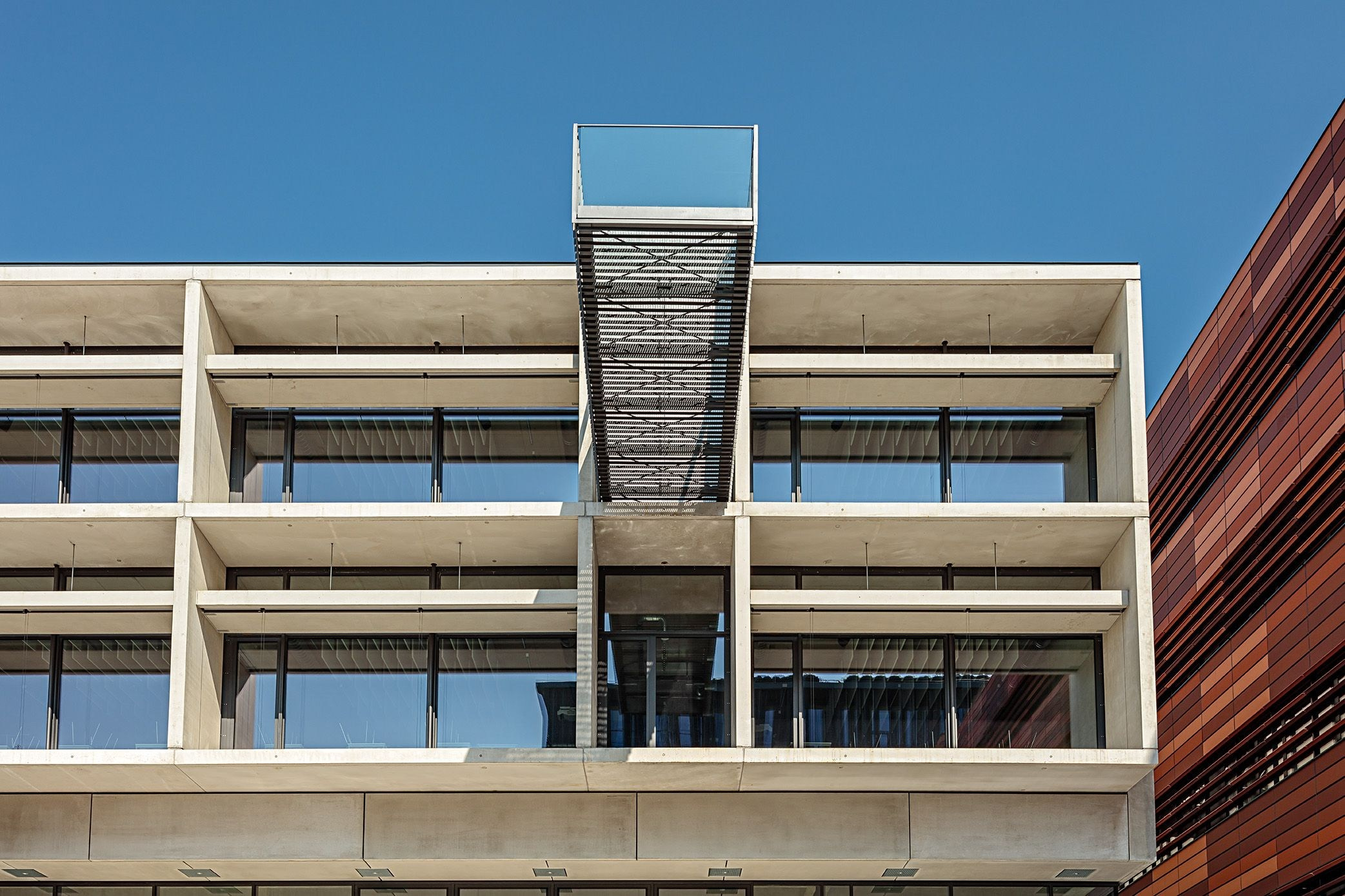 Projekty. Vector design studio Czesław Zubelewicz