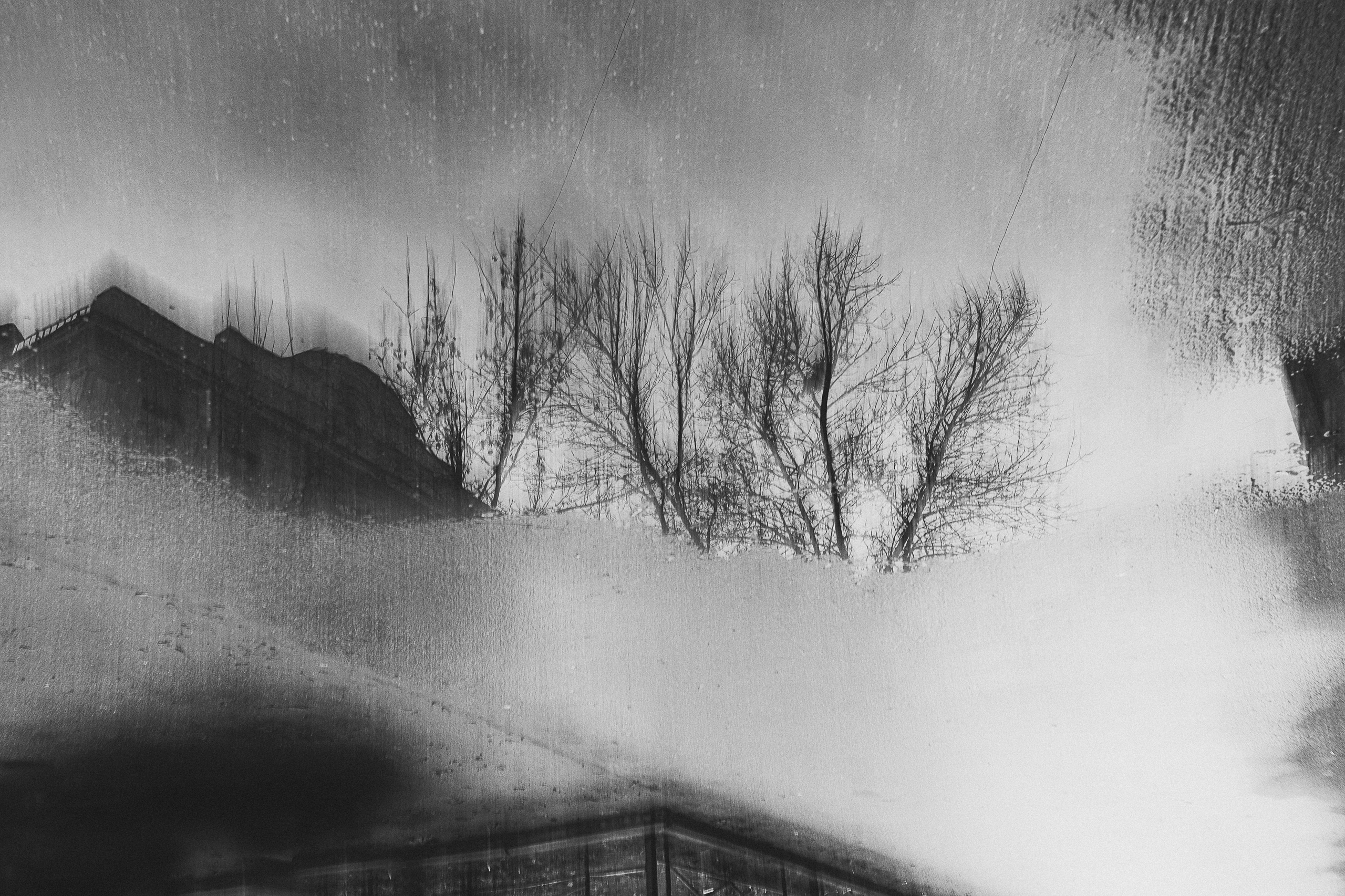 Балетная фотография и портреты в Тоскане, Ядвига Альбрехт