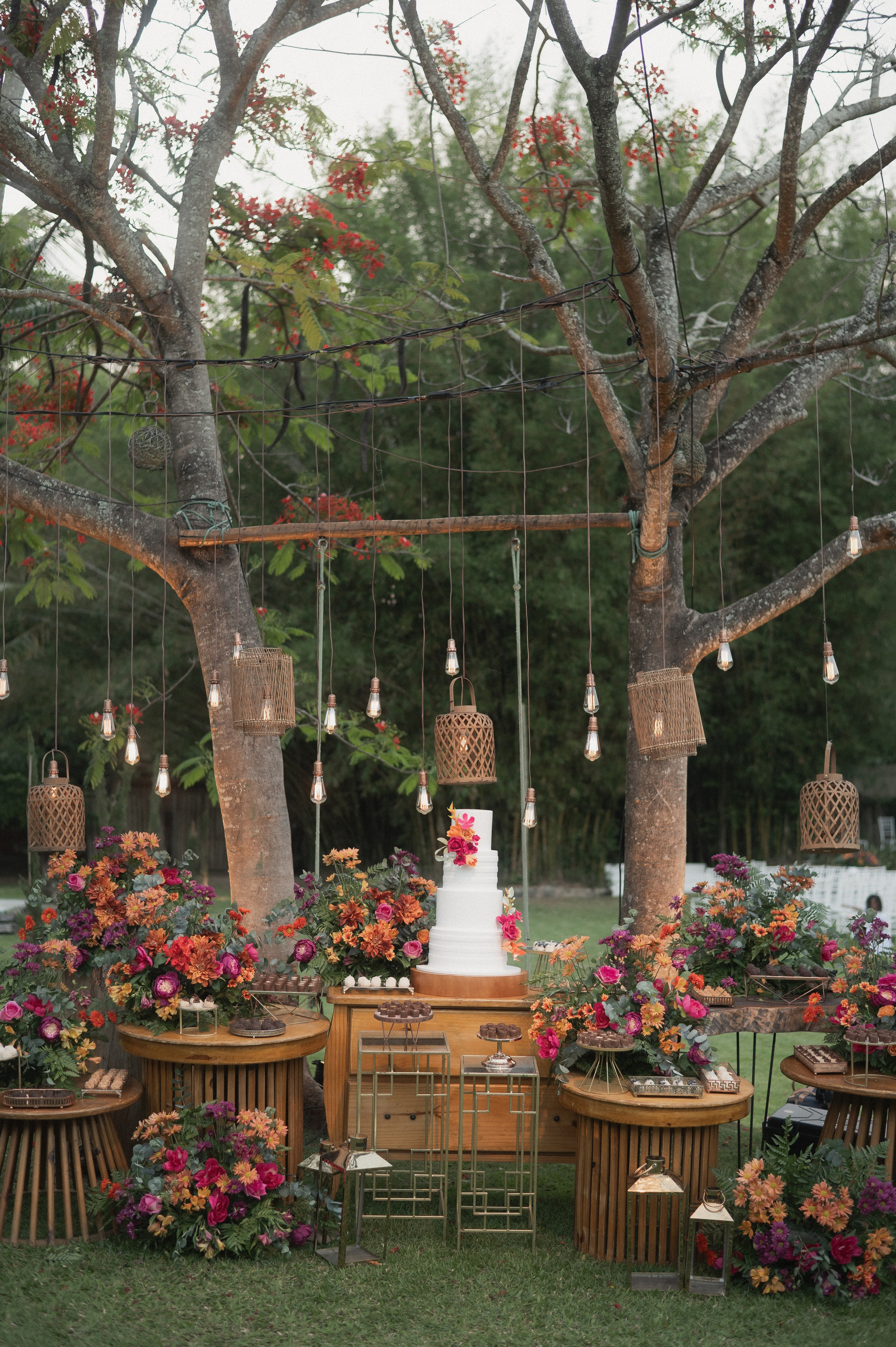 Portfólio. Lembrar não é só ver. É sentir de novo