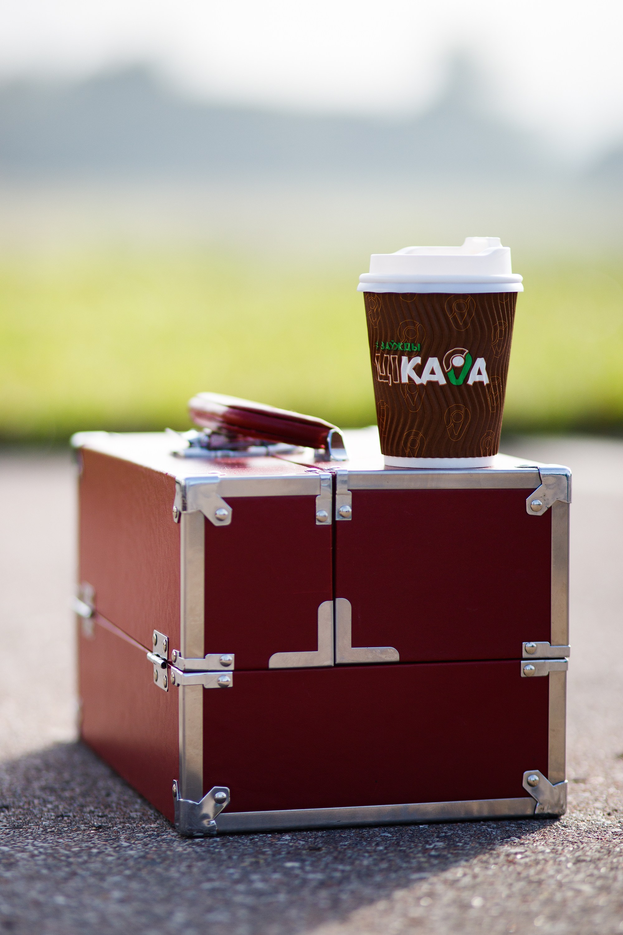 Dog shows | the best ones. Kaja | fotograf psów we Wrocławiu