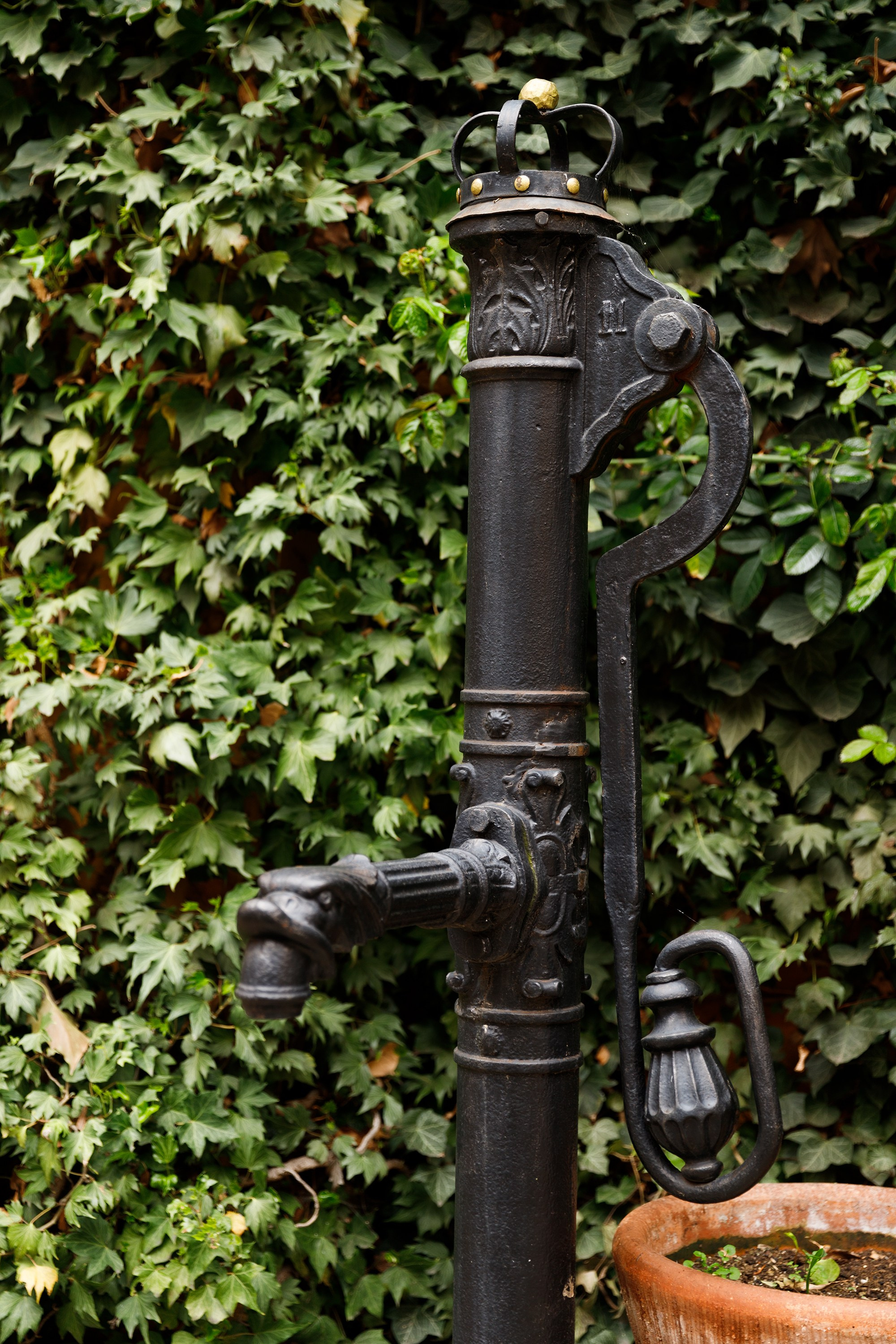 Oleśnica castle. Kaja | fotograf psów we Wrocławiu