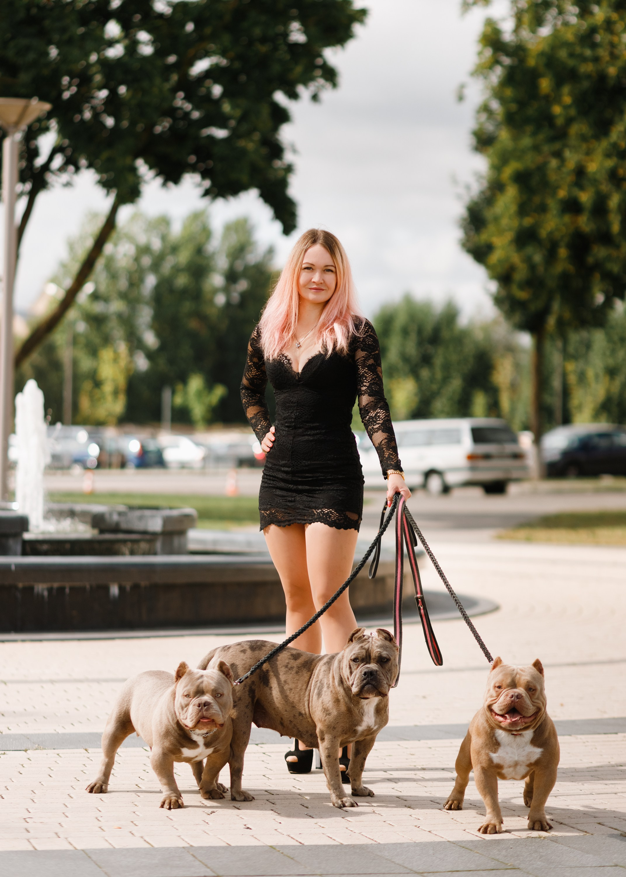 Alesya & her bullies. Kaja | fotograf we Wrocławiu | ludzie i psy