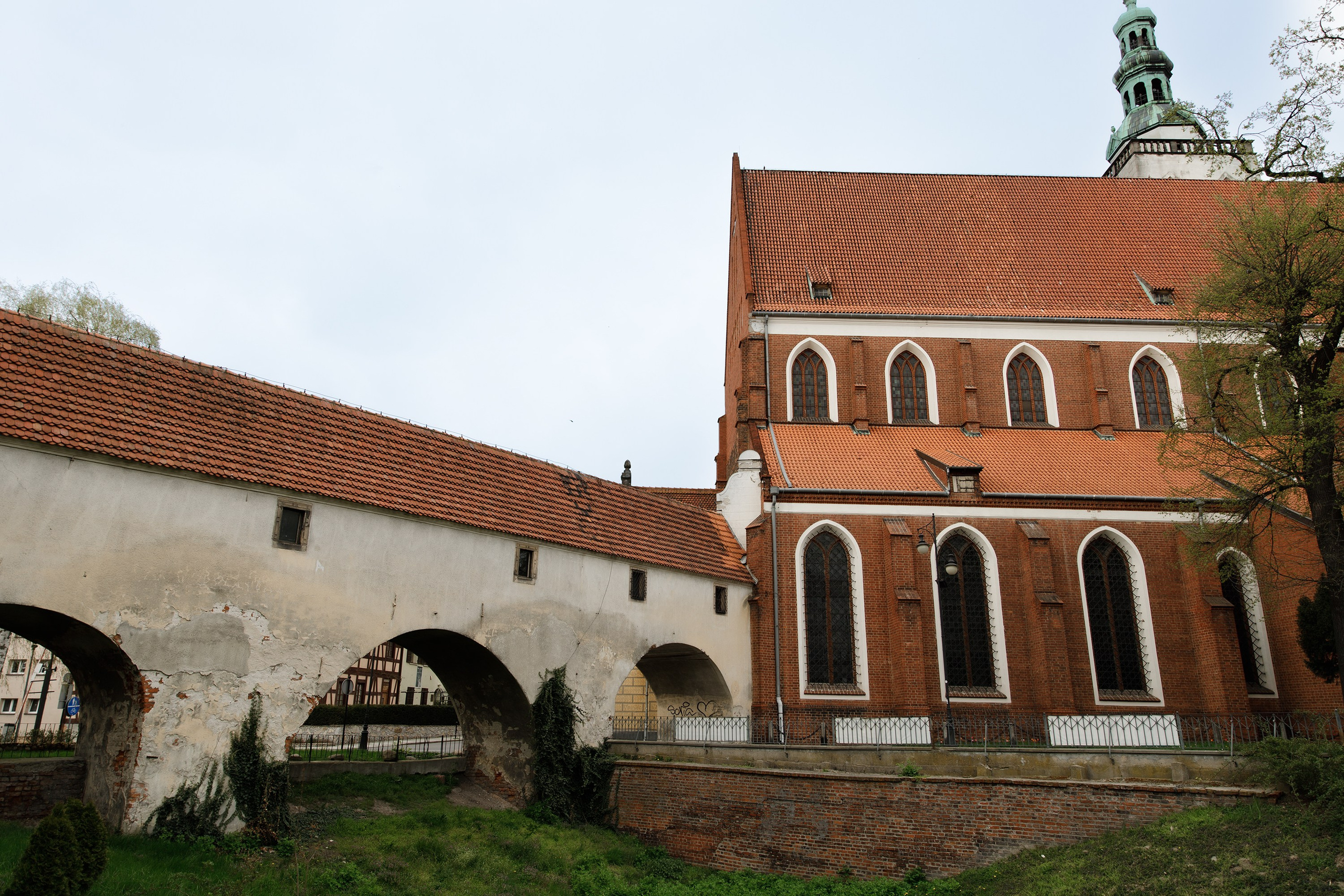Oleśnica castle. Kaja | fotograf psów we Wrocławiu