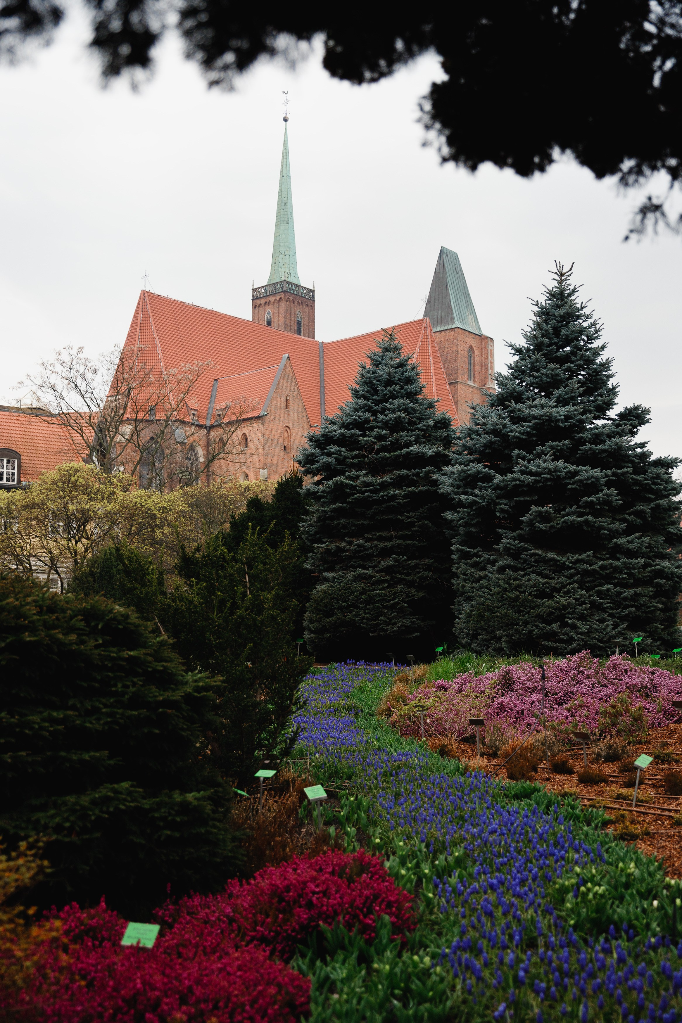 Botanical garden in Wroclaw. Kaja | fotograf we Wrocławiu | ludzie i psy