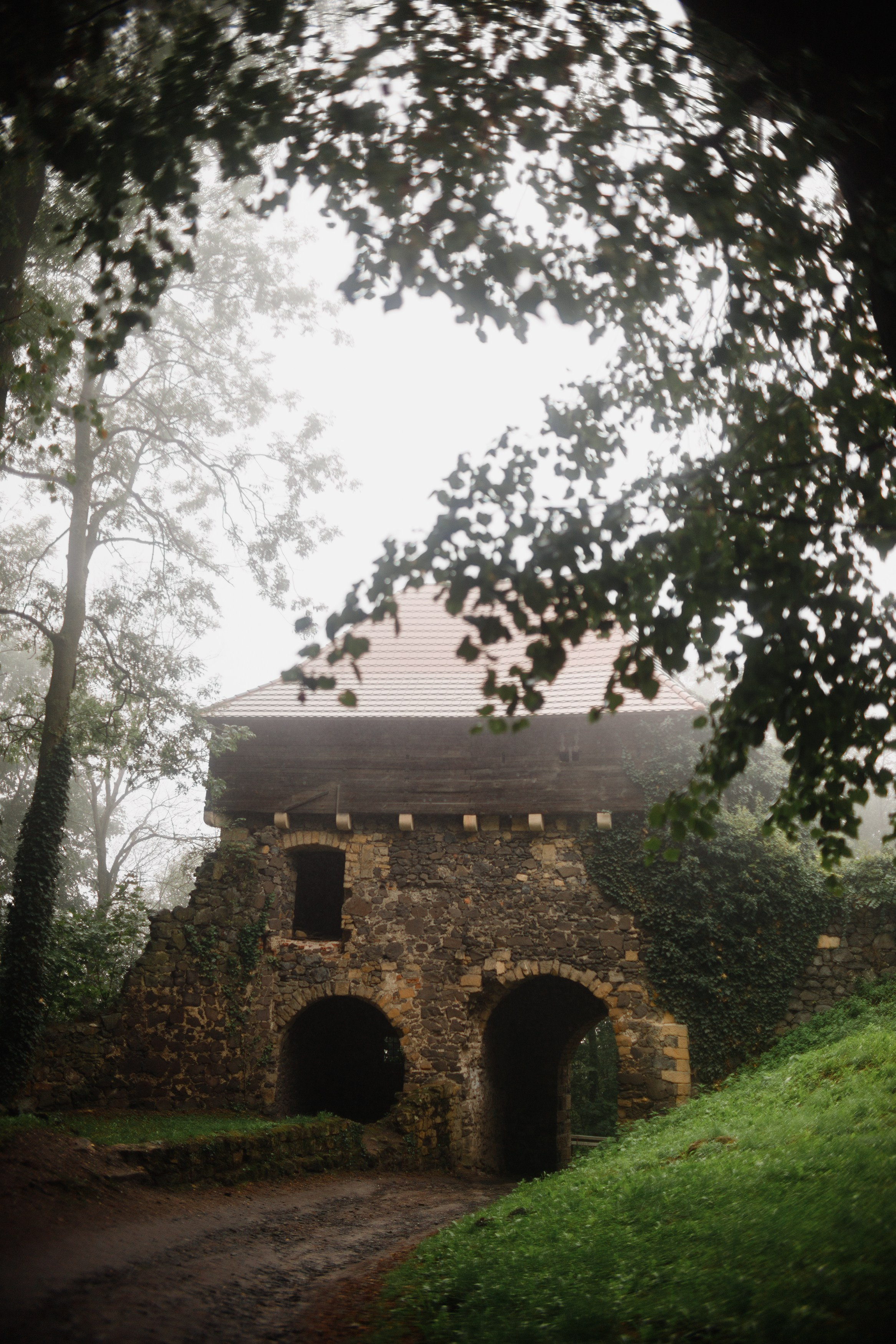 Zamek Grodziec. Kaja | fotograf psów we Wrocławiu