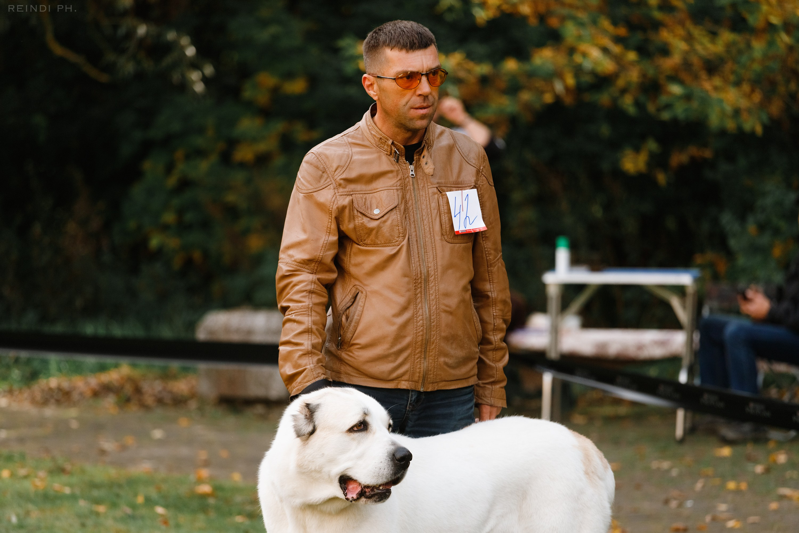 «Argus» dog show in Brest. Kaja | fotograf we Wrocławiu | ludzie i psy