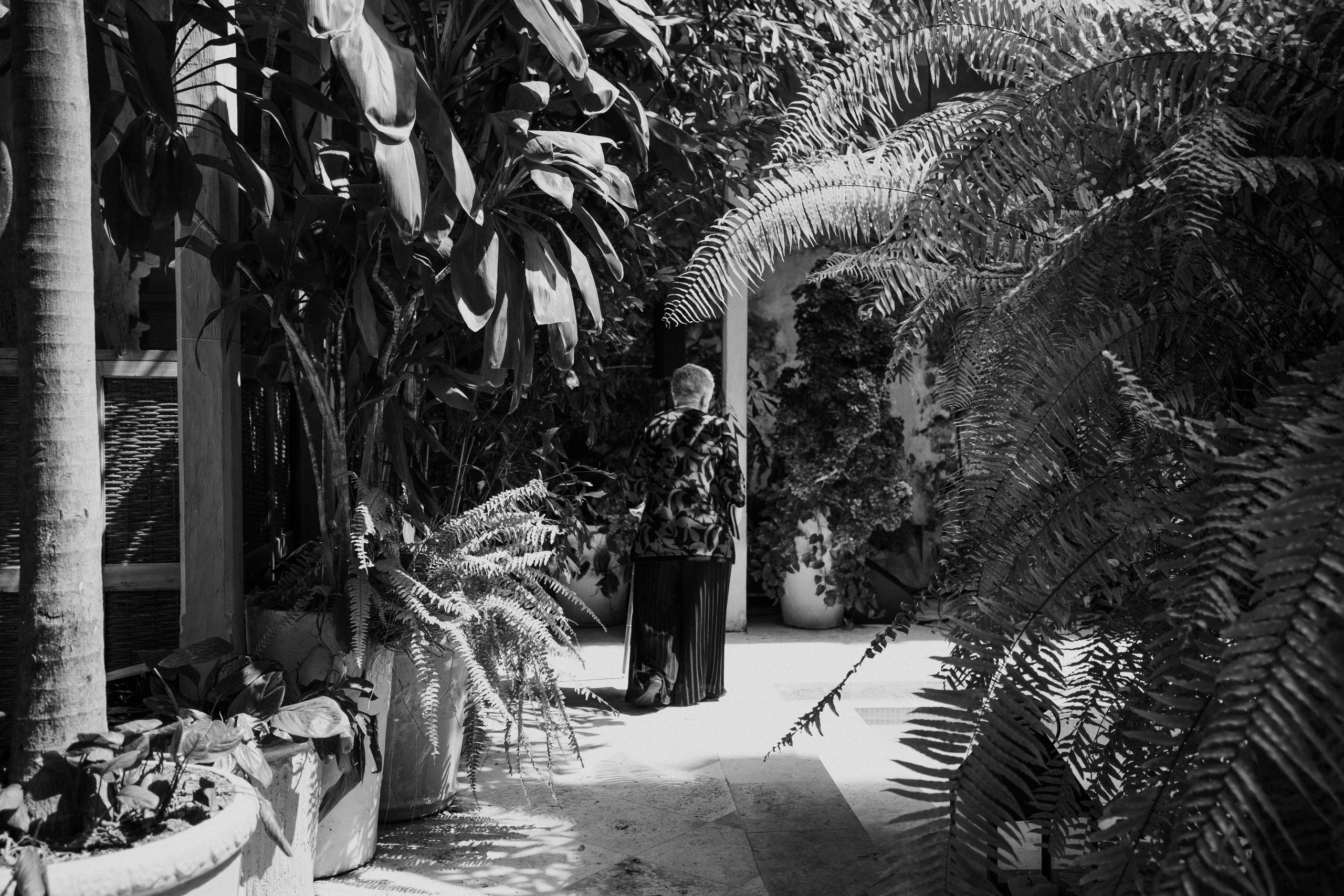 ALEXA & PEDRO. UNTERCIO BODAS