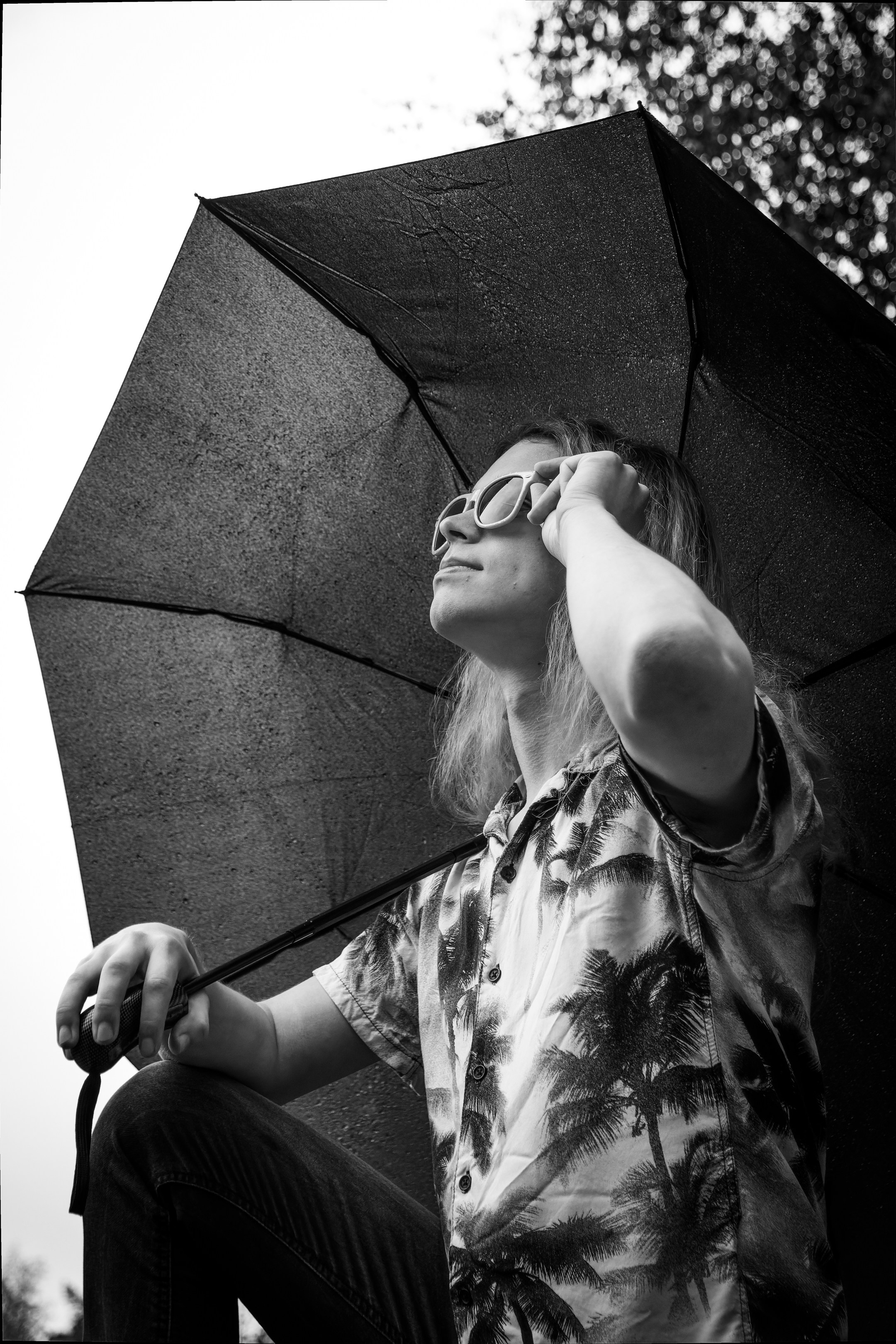 Mets, vihm ja jahedus (Dimitry). Nebula 25 — Fotod teie hingele