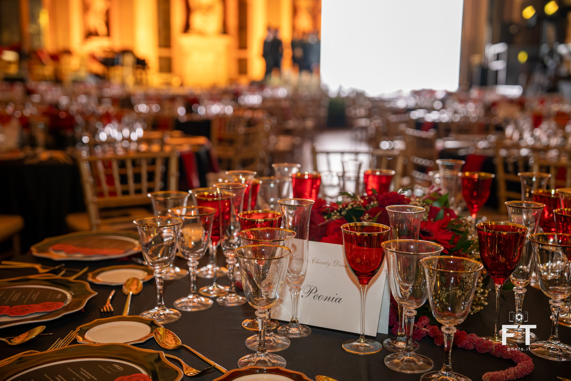 Luxury Charity Dinner ANT. Ftphoto