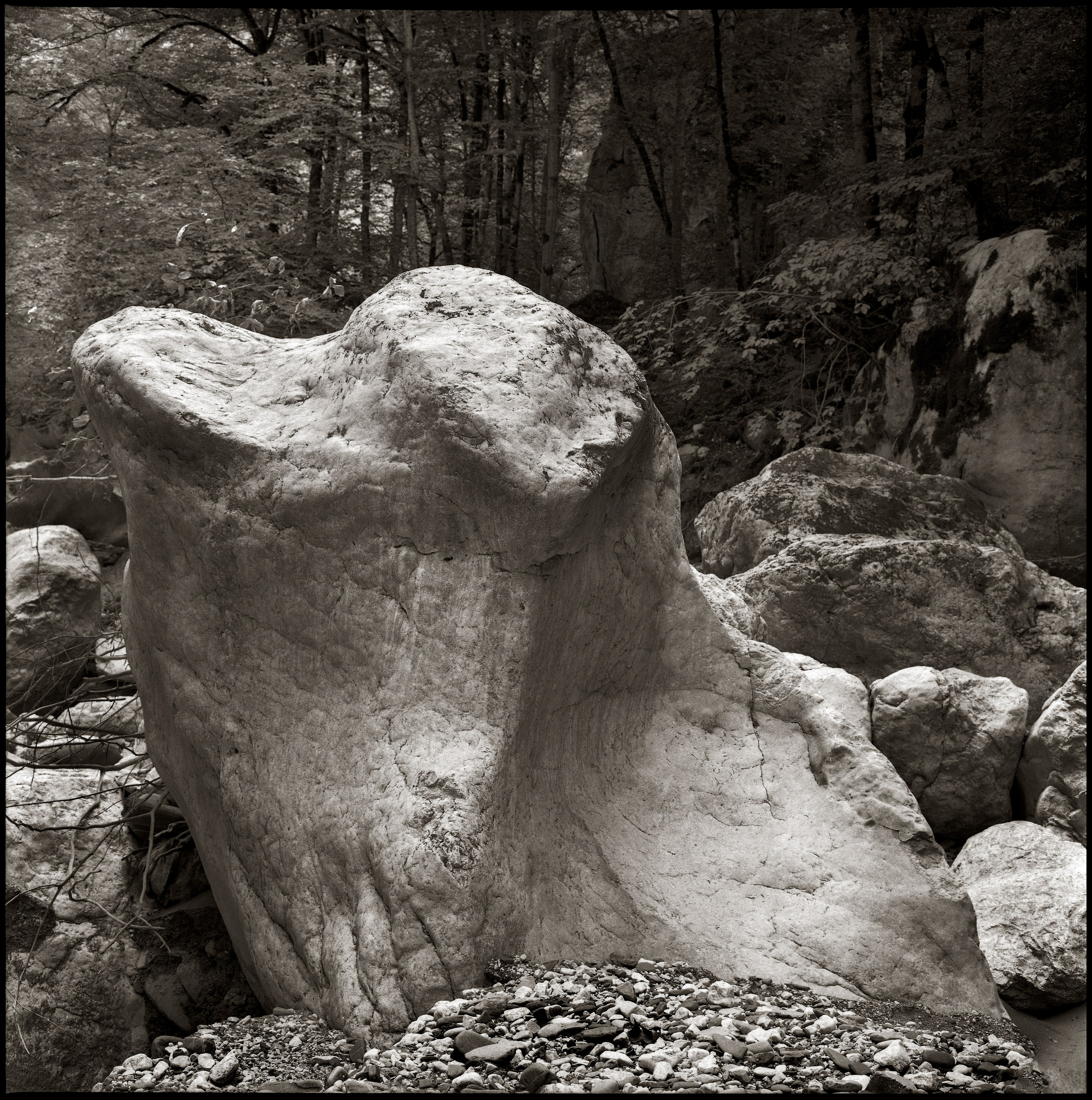 NATURE. Www.sananaleskerov.com