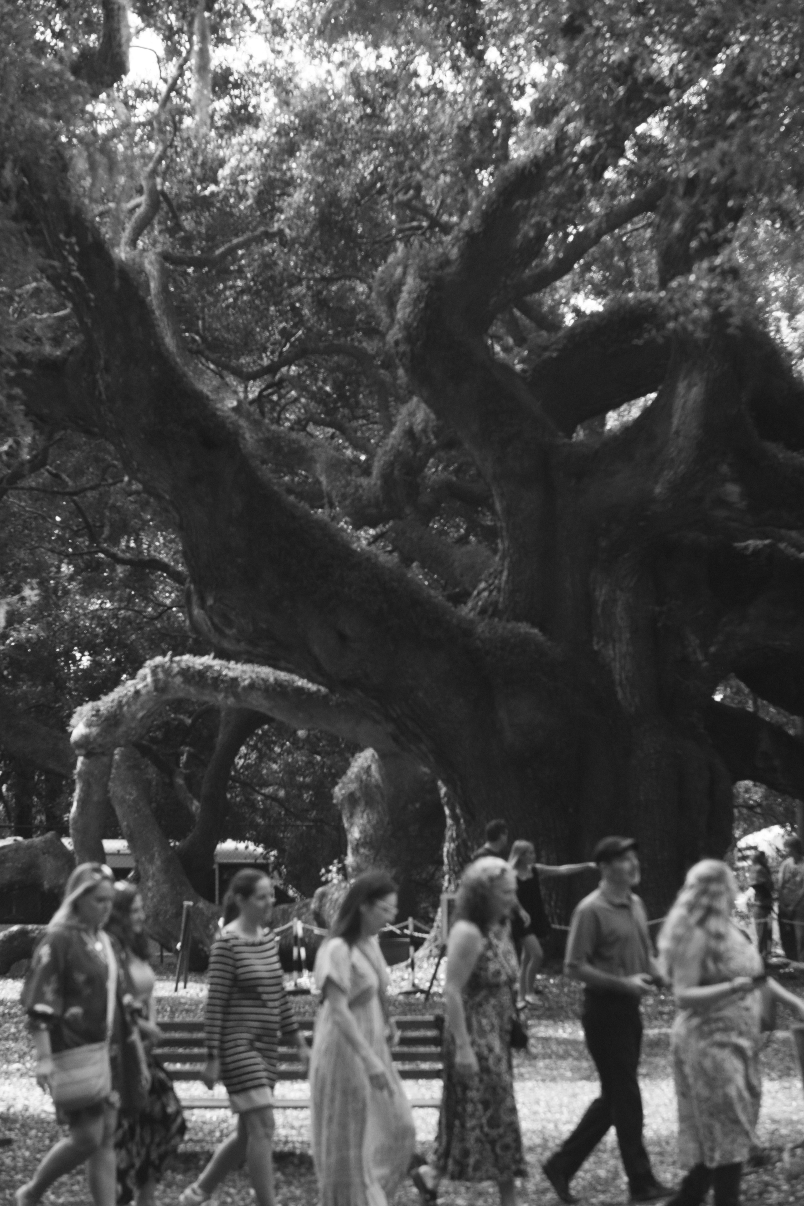 Monochrome. Sonny Photos