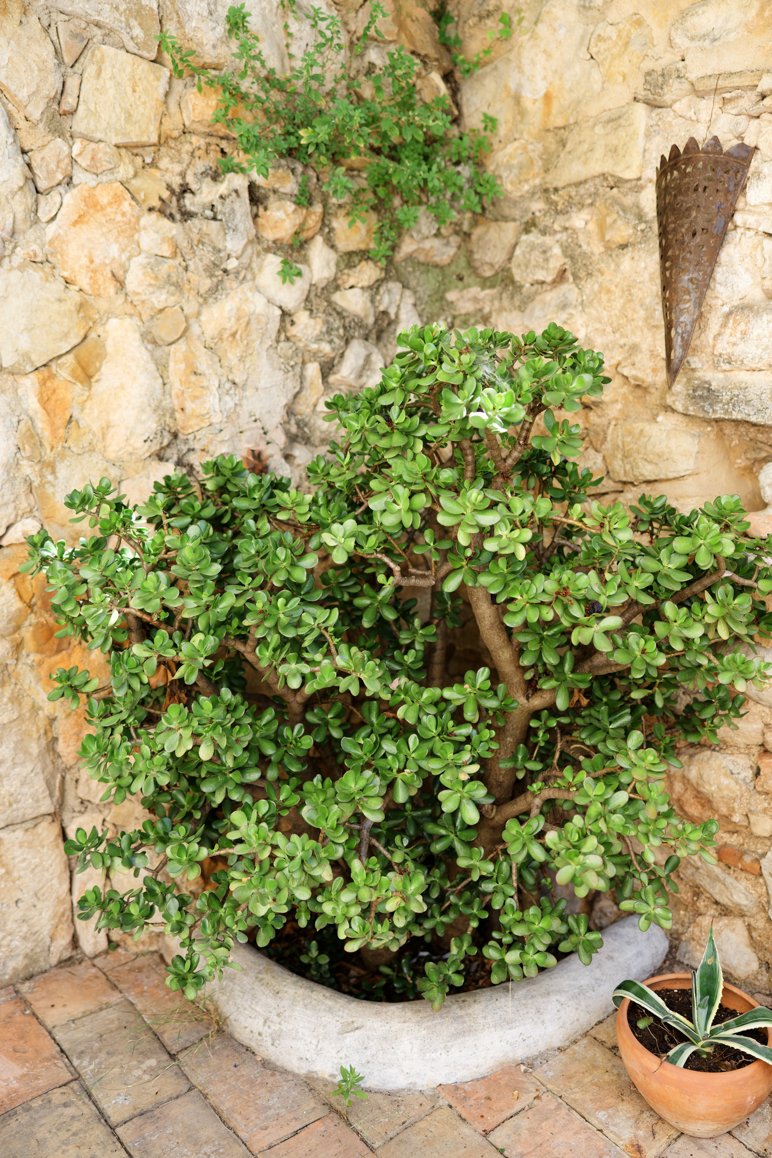 Indian wedding Haldi ceremony & Mehndi Night at Masia Nur, Sitges, Spain Preview