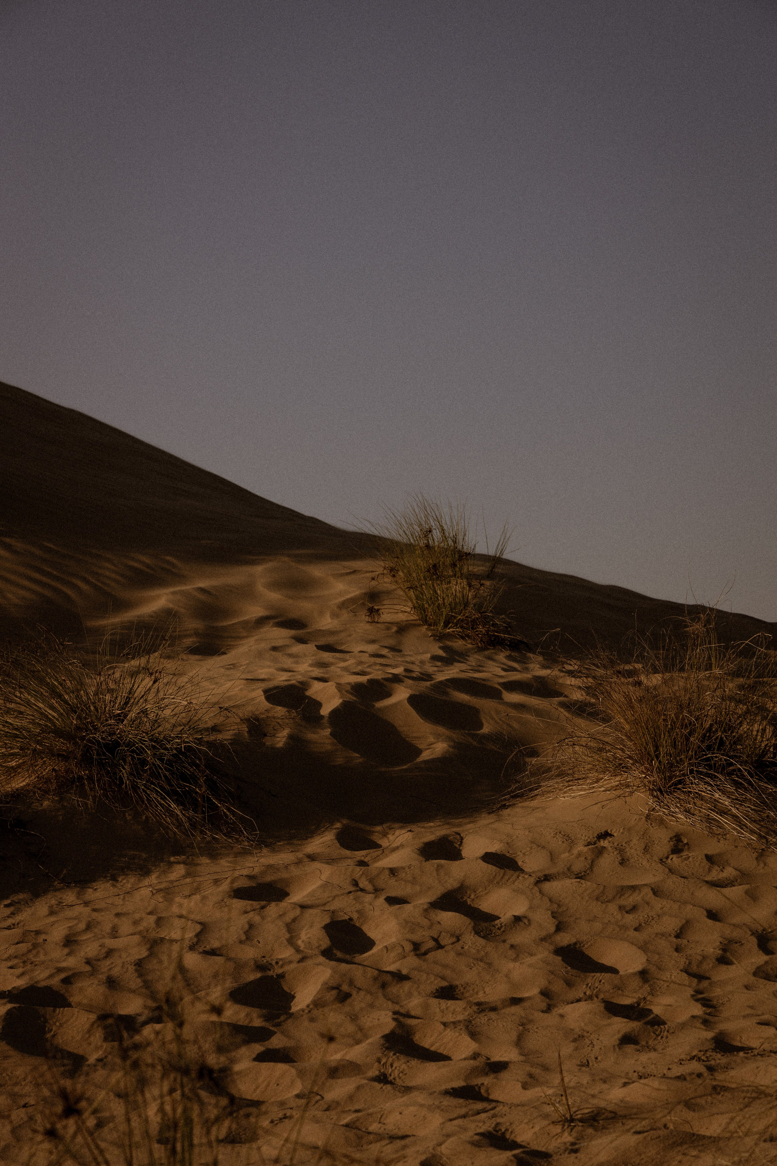 Галлерея. Anka Fateeva — Fine Art Photography Prints