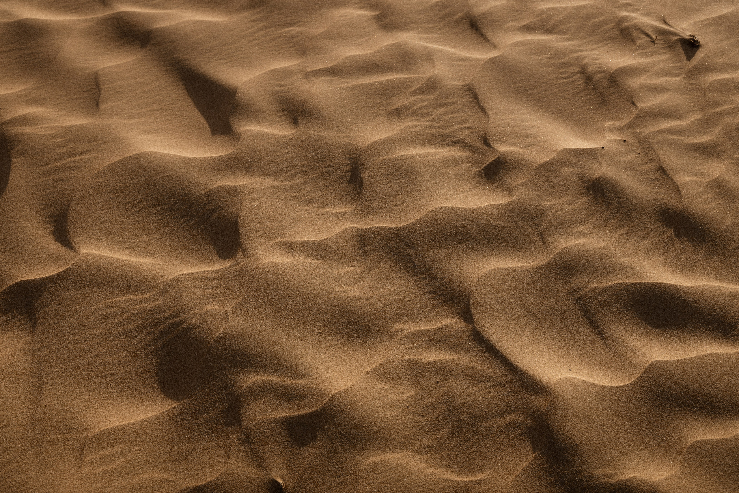 Галлерея. Anka Fateeva — Fine Art Photography Prints