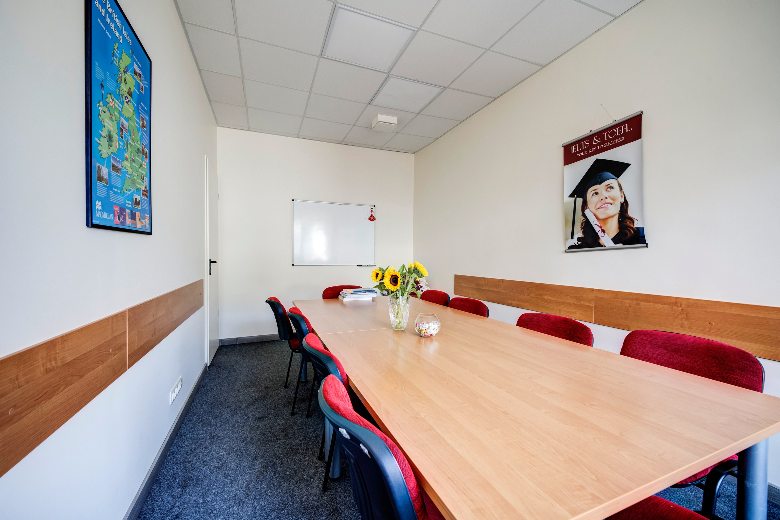 Saltoniškių g. 31. Elina Sapiega fotografė Vilniuje