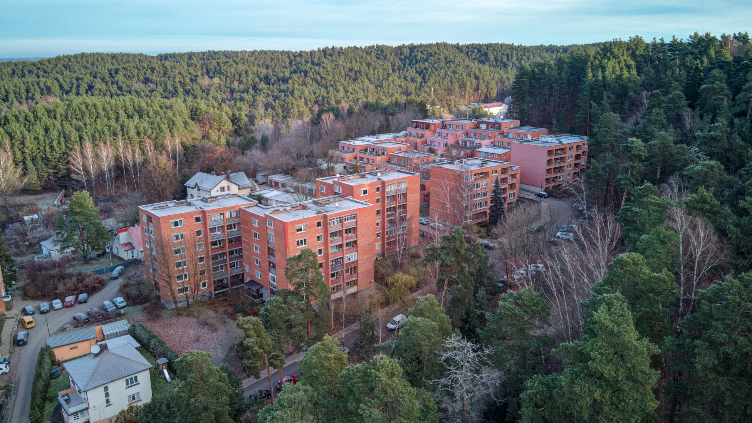 Dronas Antakalnis, Kanklių 10. Elina Sapiega fotografė Vilniuje