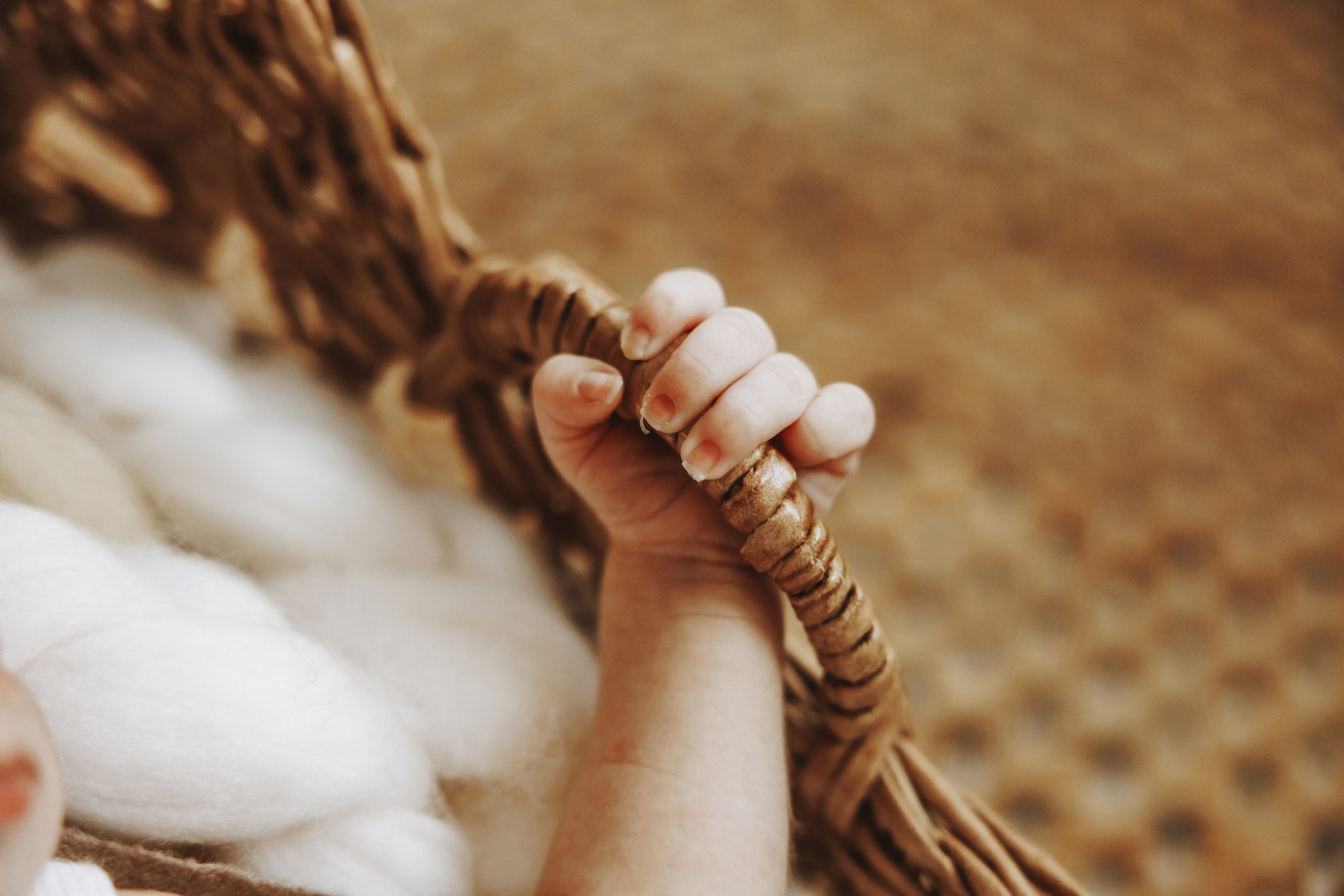 Babby Boy. Фотограф Ирина Йотова