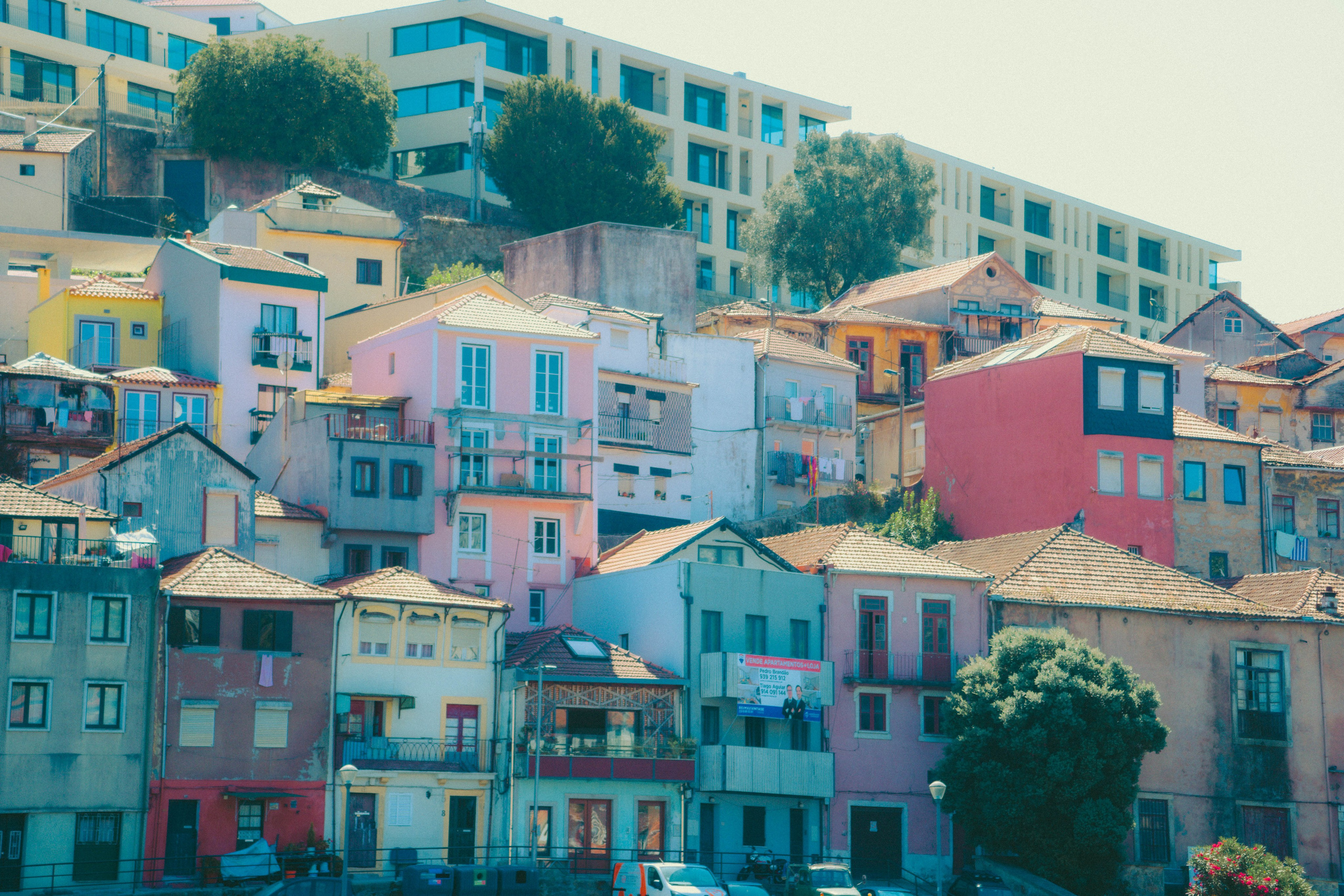 Porto, Agosto 2024. Alba del Norte Studio