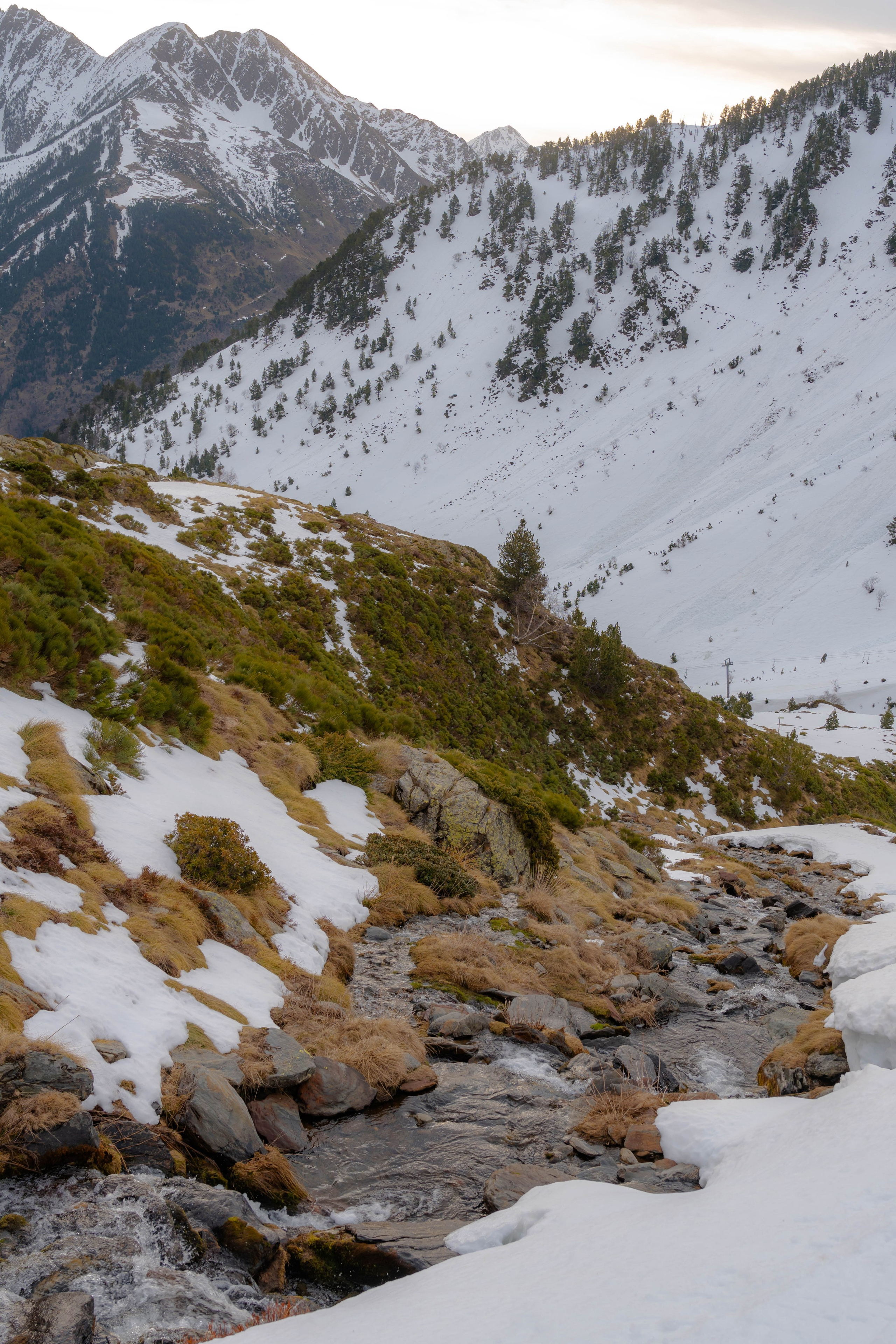 Ruta Comas de Fort. Alba del Norte Studio