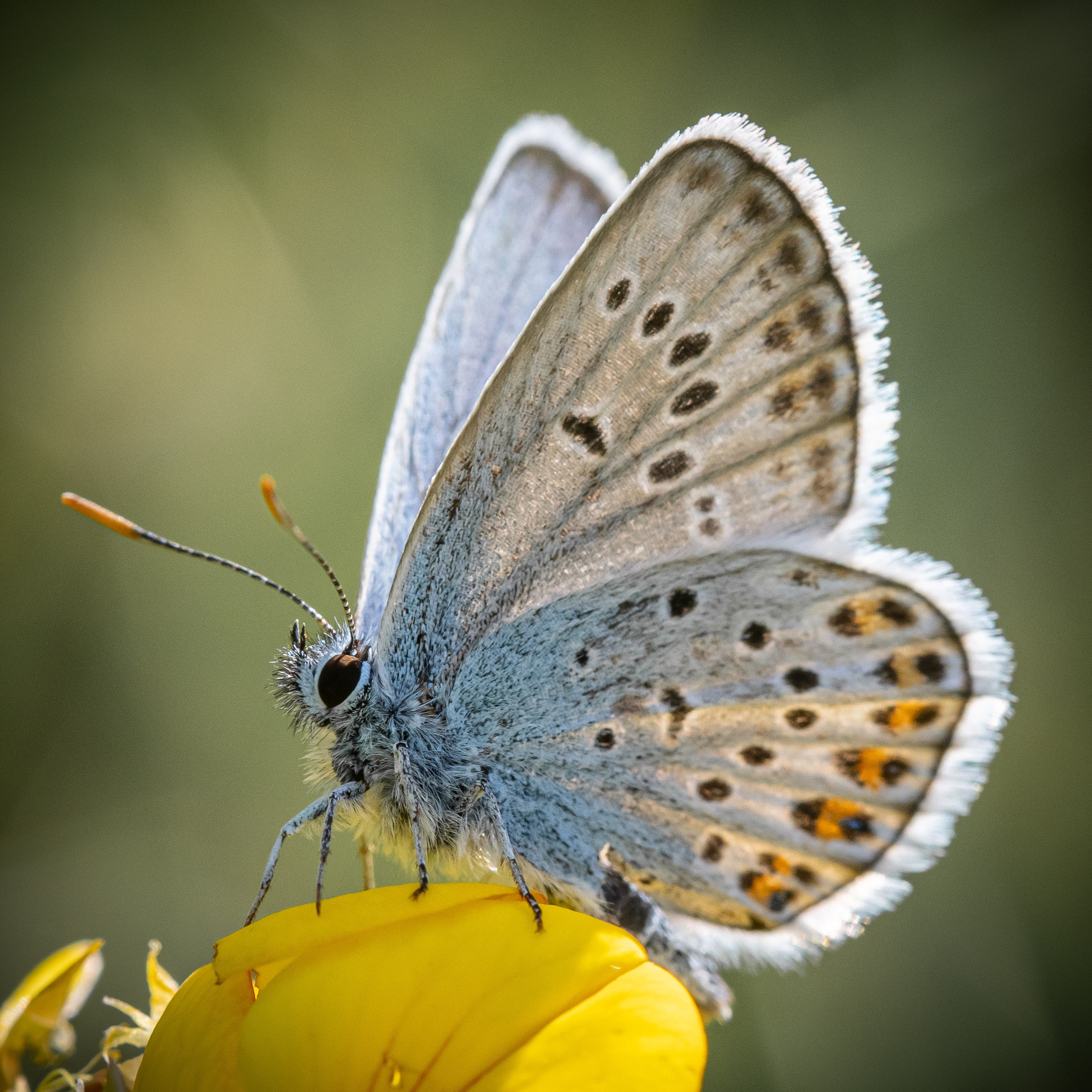 “Gianmaria Coscia fotografo per passione”