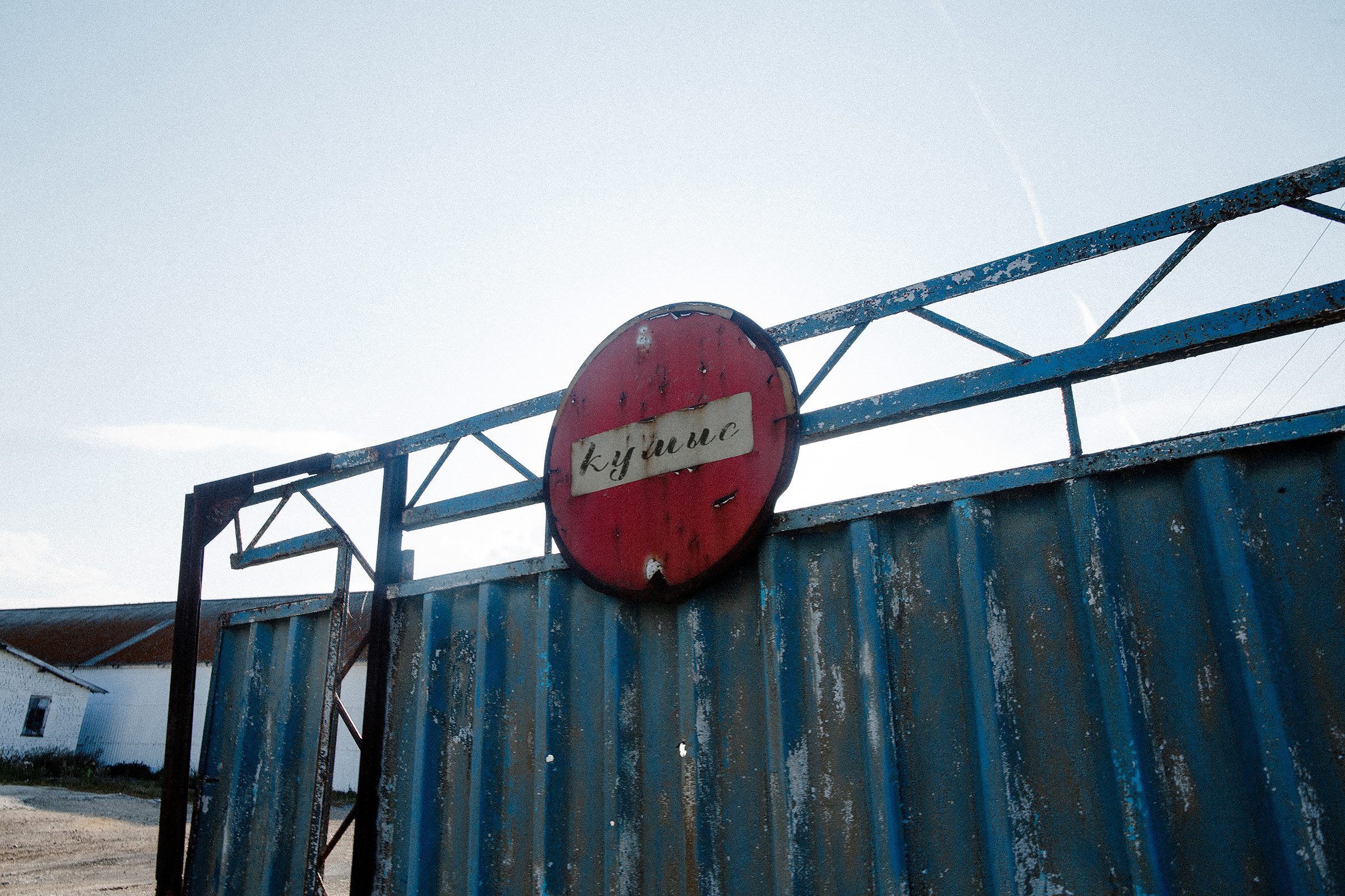 Qumys. Wedding Photographer Tel-Aviv