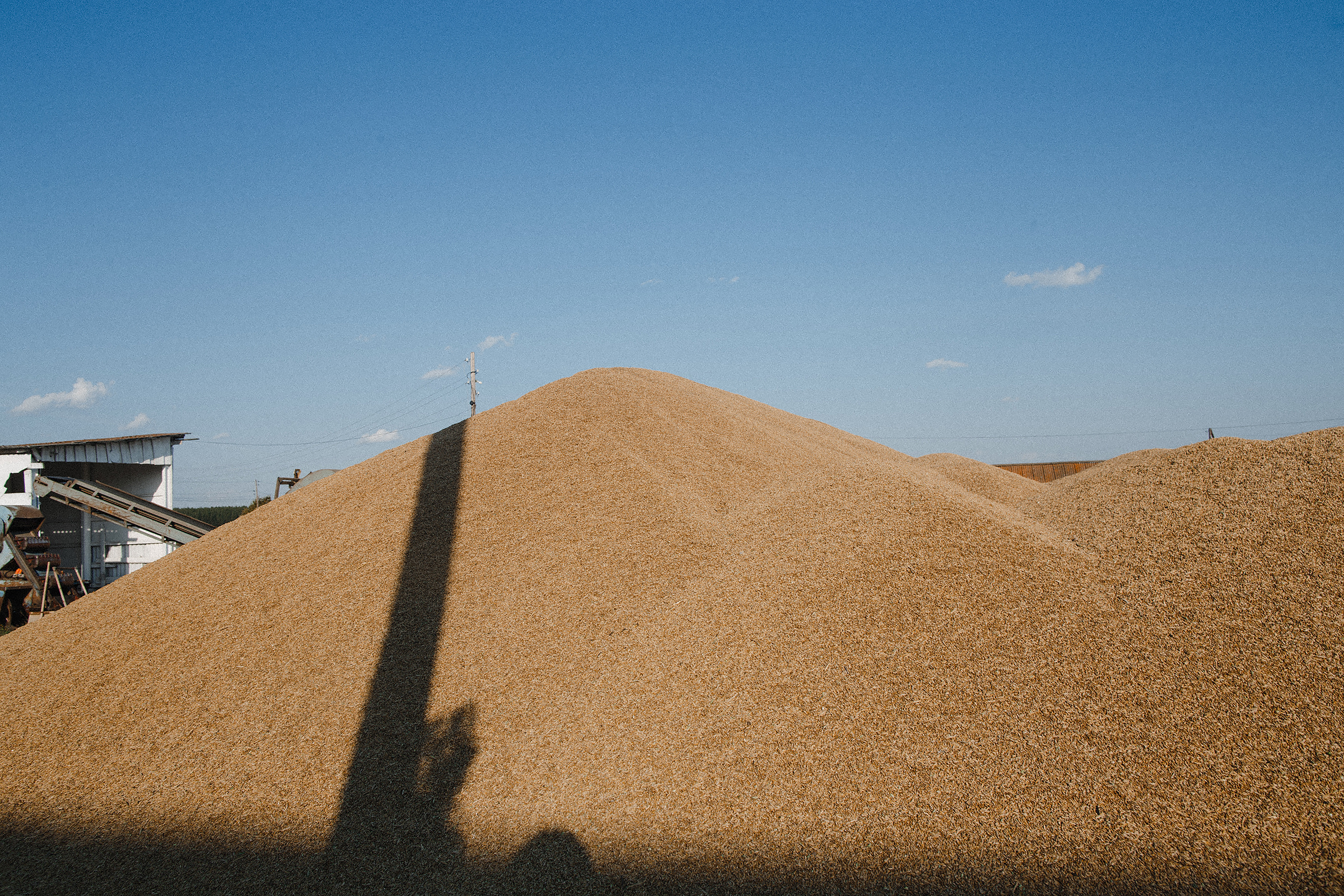 Qumys. Wedding Photographer Tel-Aviv