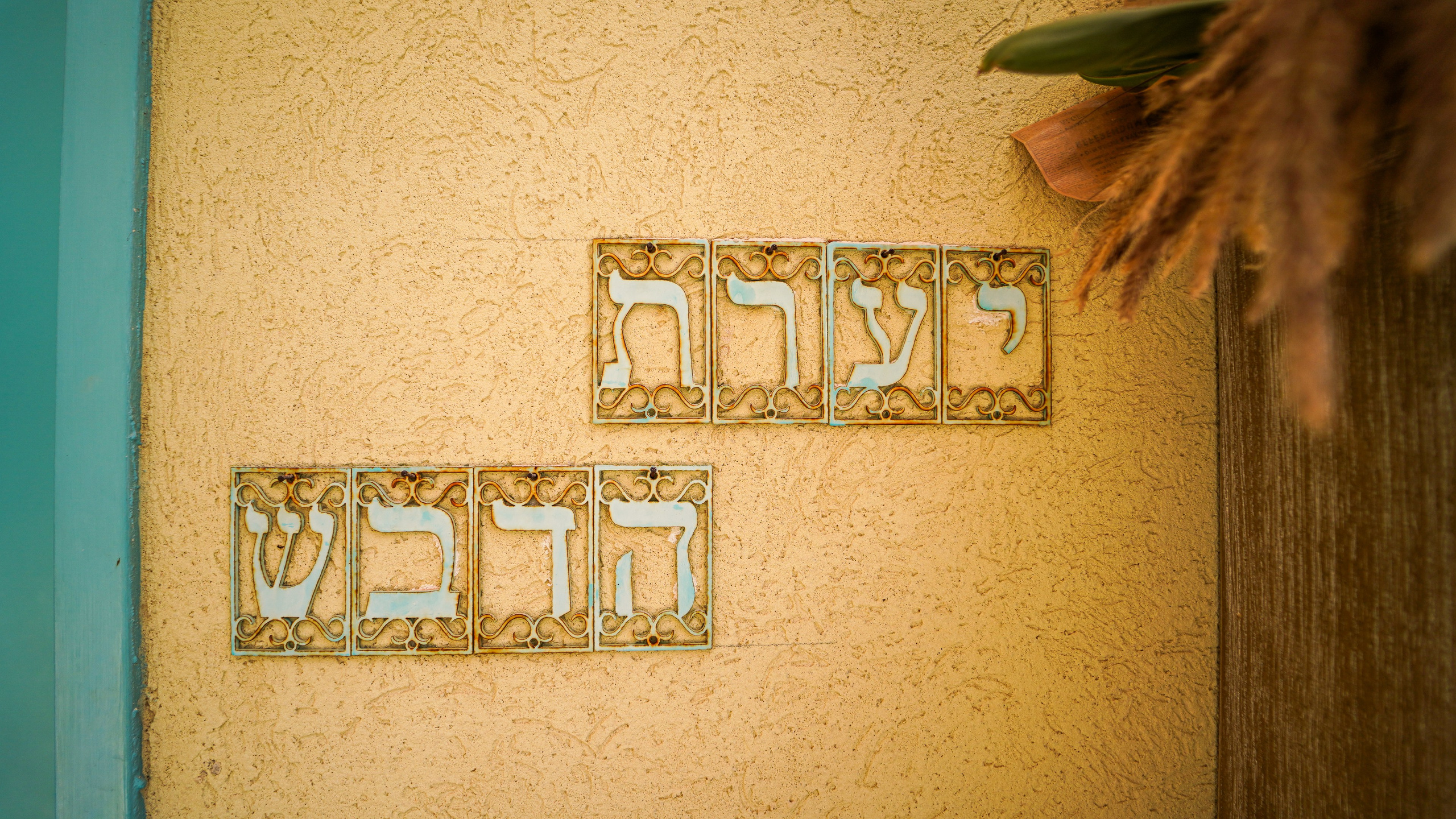 נדל"ן ובתים. יותם שחר צילום ועריכה