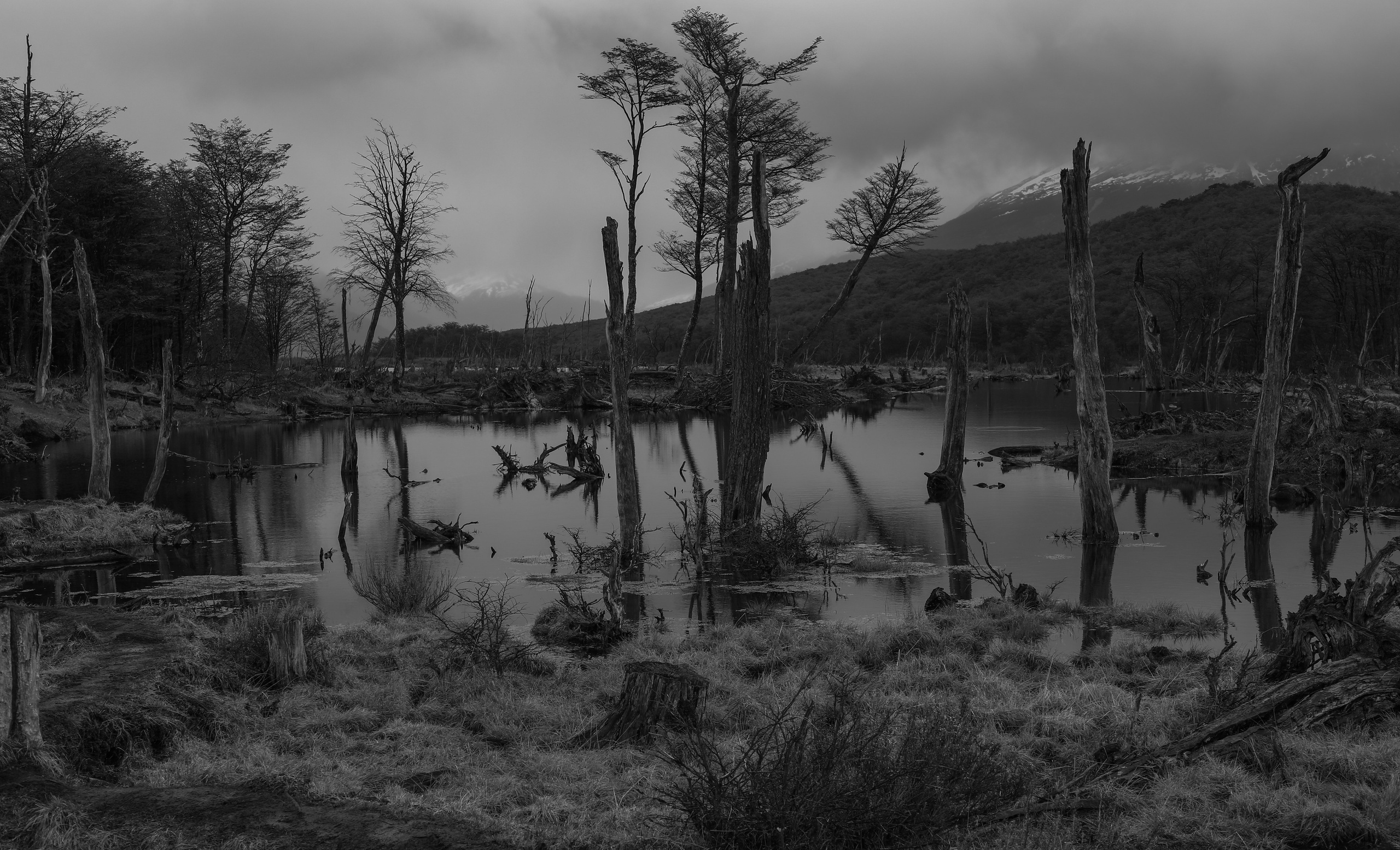 PATAGONIE. Photographe Karen Tatevosian