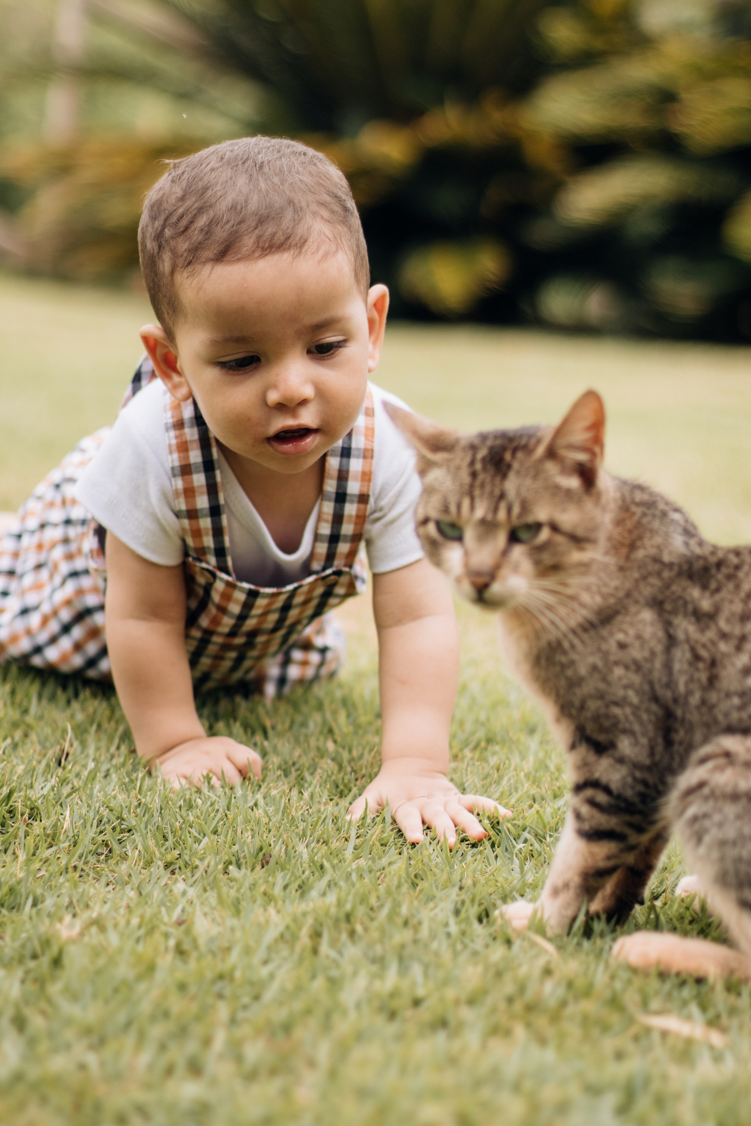 Gustavo — Aniversário 1 ano. Principal