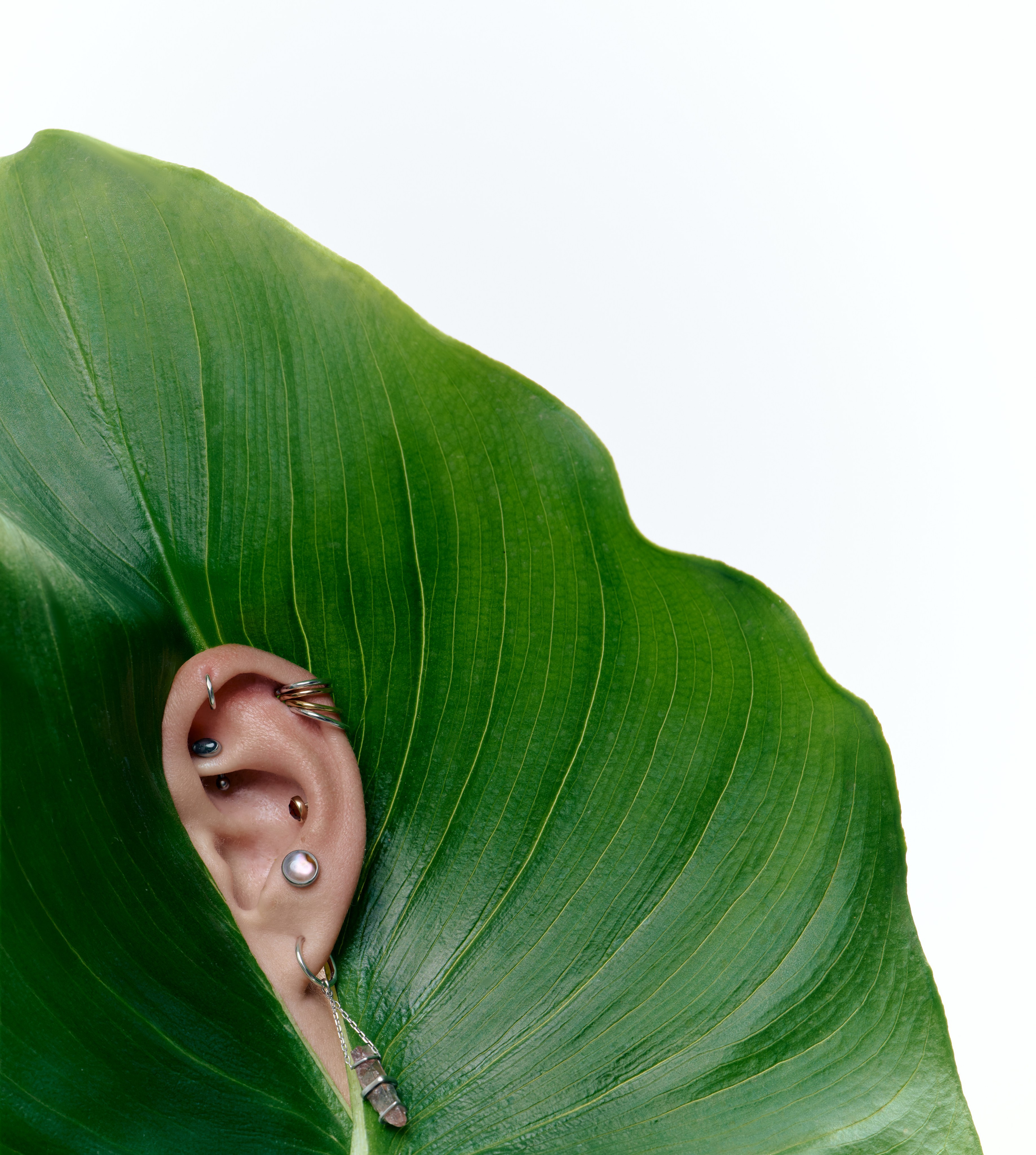 Fashion & Product. Photographer and videographer for business in Tbilisi Catrine Poznyak