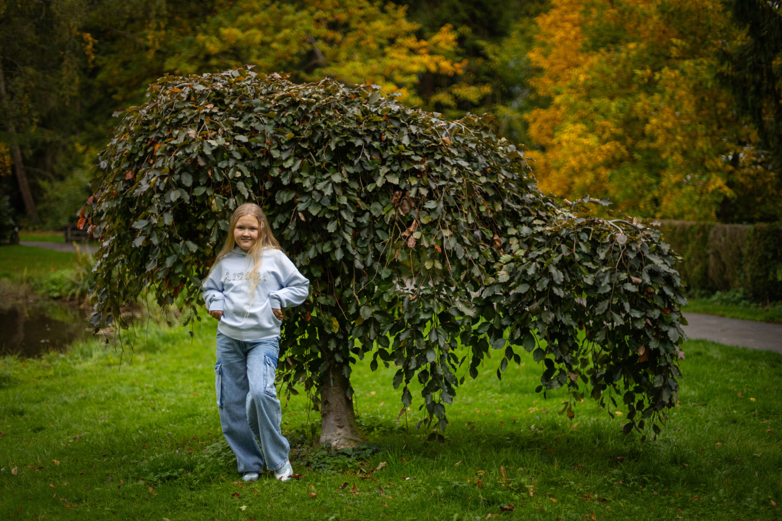 Autumn photos. PHOTOgrapher Germany MARBURG