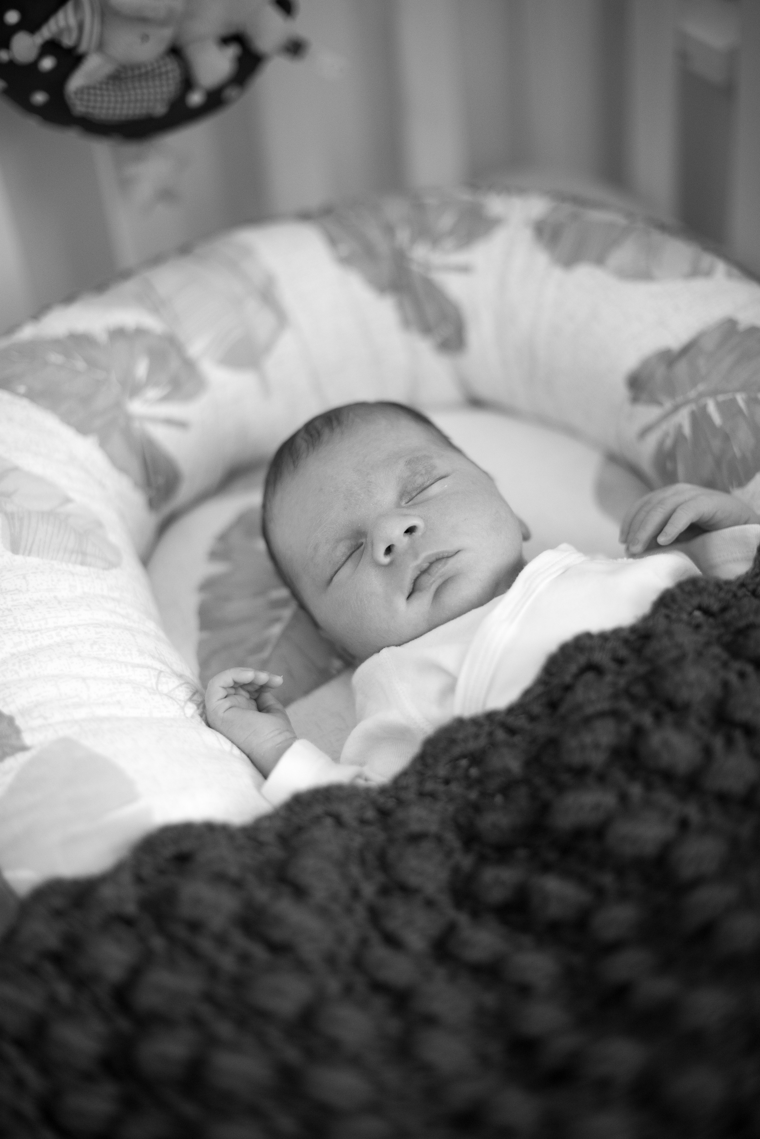 Семья Ильи и Мелани. Визуальный брендинг