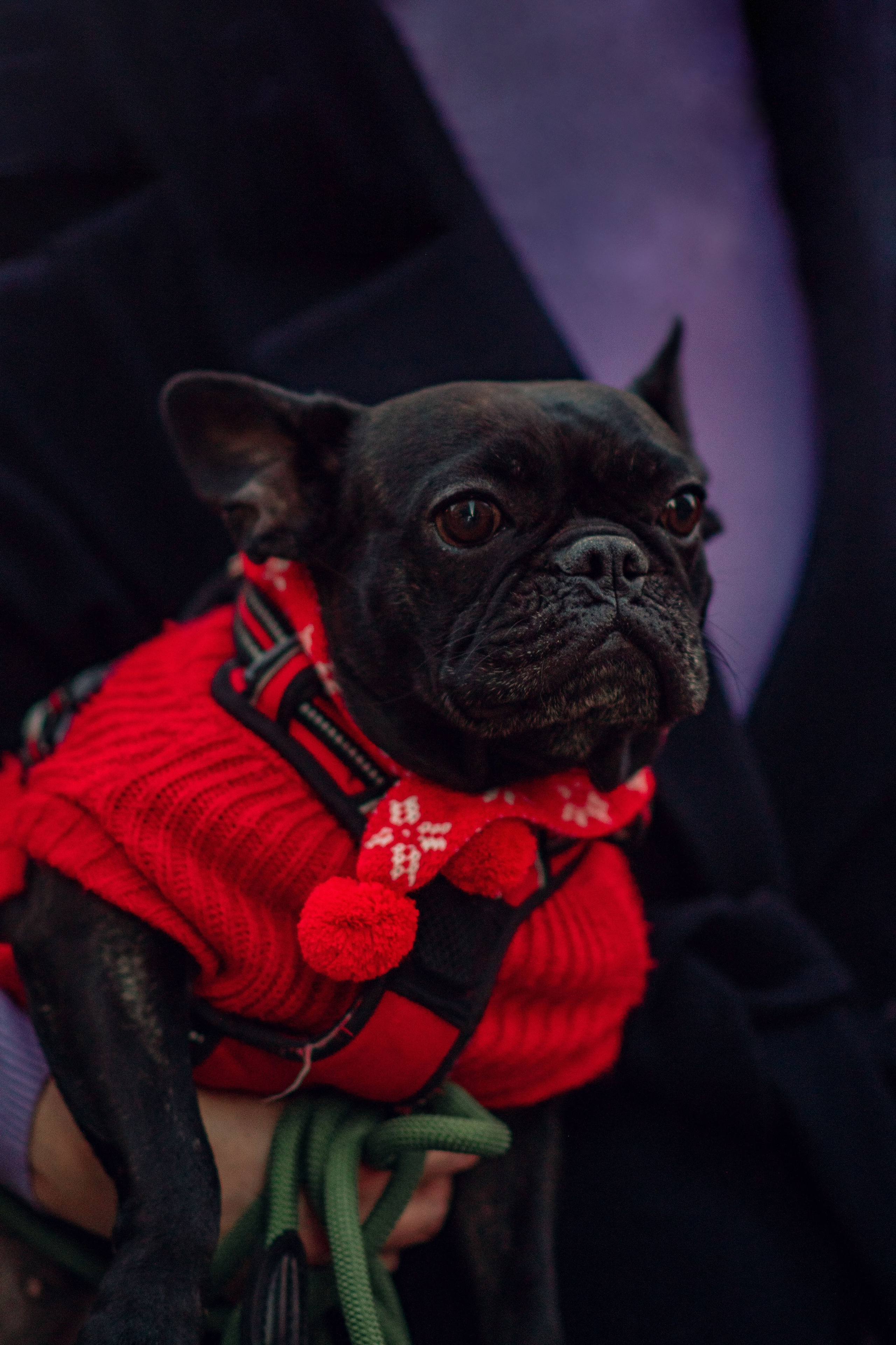 Christmas time. Семейный и детский фотограф