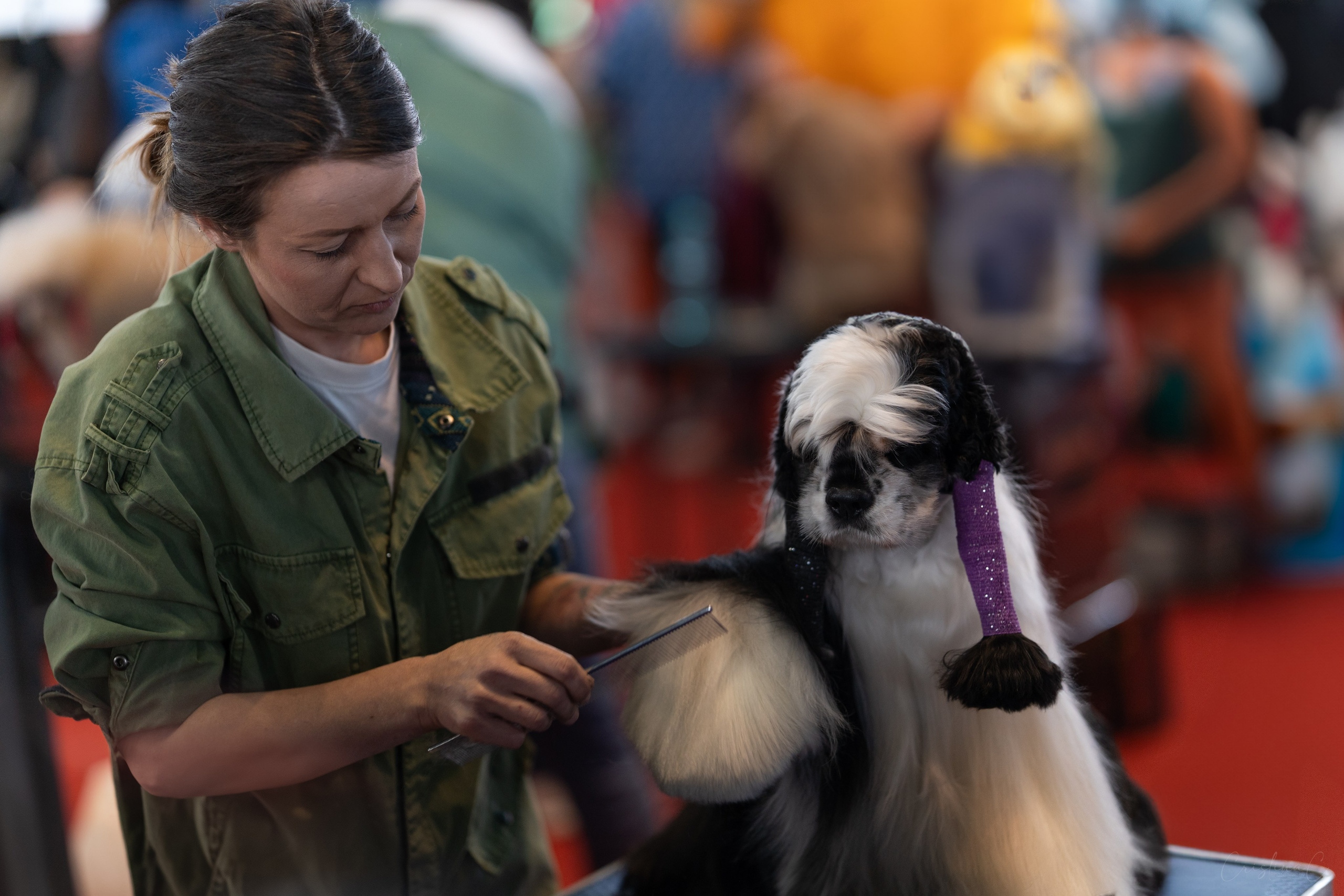 Pet Expo 2025. Bycristinaciobanu
